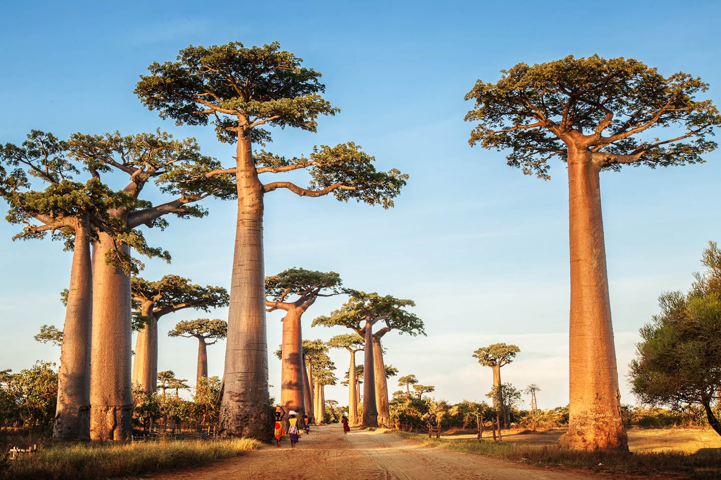 Discover the stunning landscapes of Madagascar - Constance Hotels Blog
