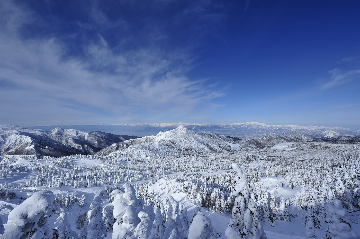 Snow adventures at Shiga Kogen