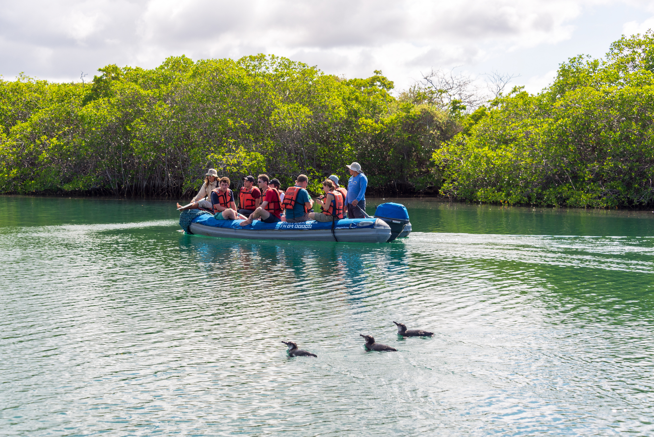 Enjoy a dingy ride to Bahía Borrero