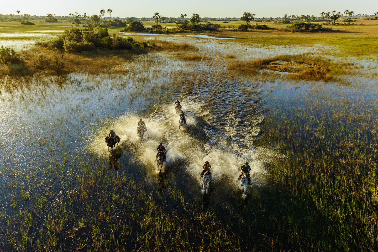 Horseback safari in the Okavango Delta