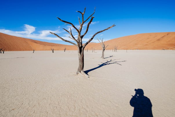 sossusvlei photograph deadvlei namibia  