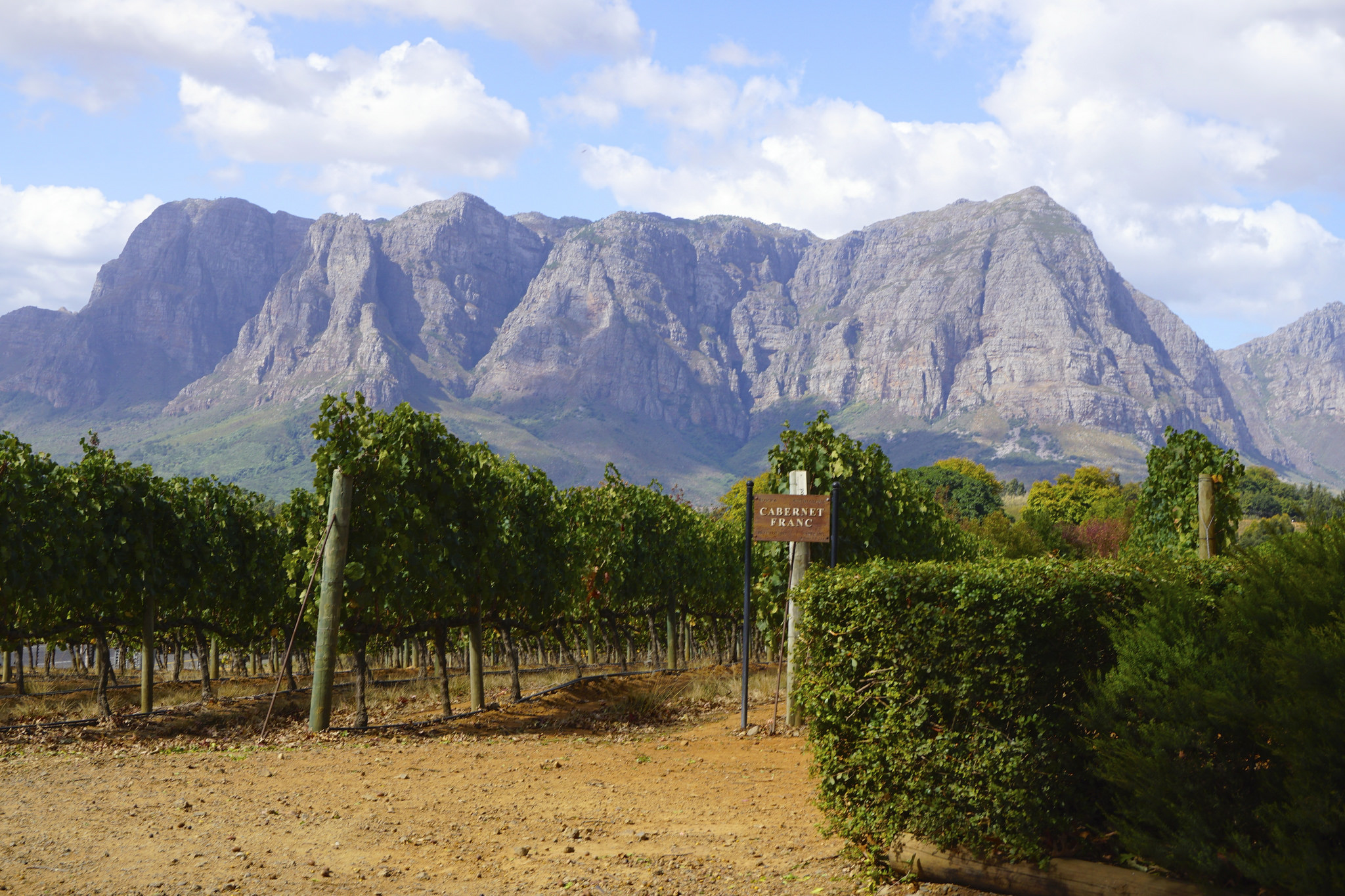 Wine tasting with a difference in Stellenbosch