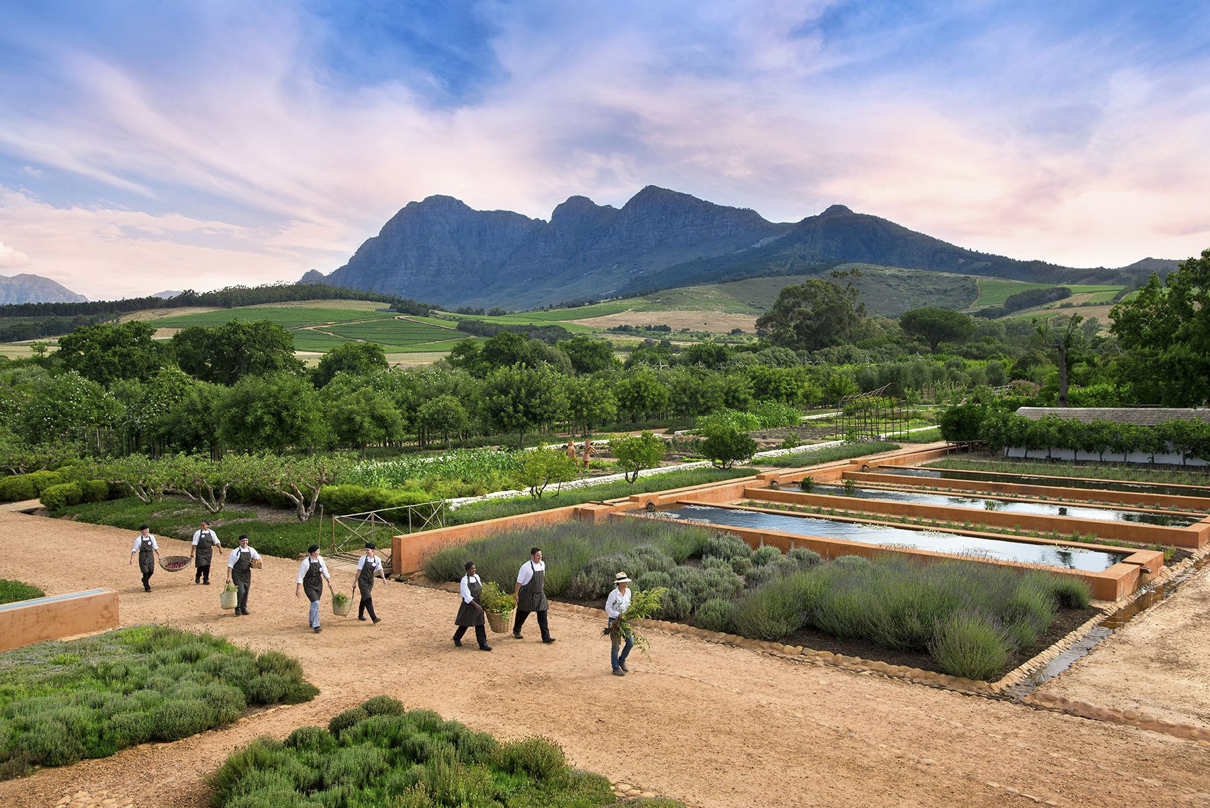 A tastebud-tickling, foodie tour of Franschhoek