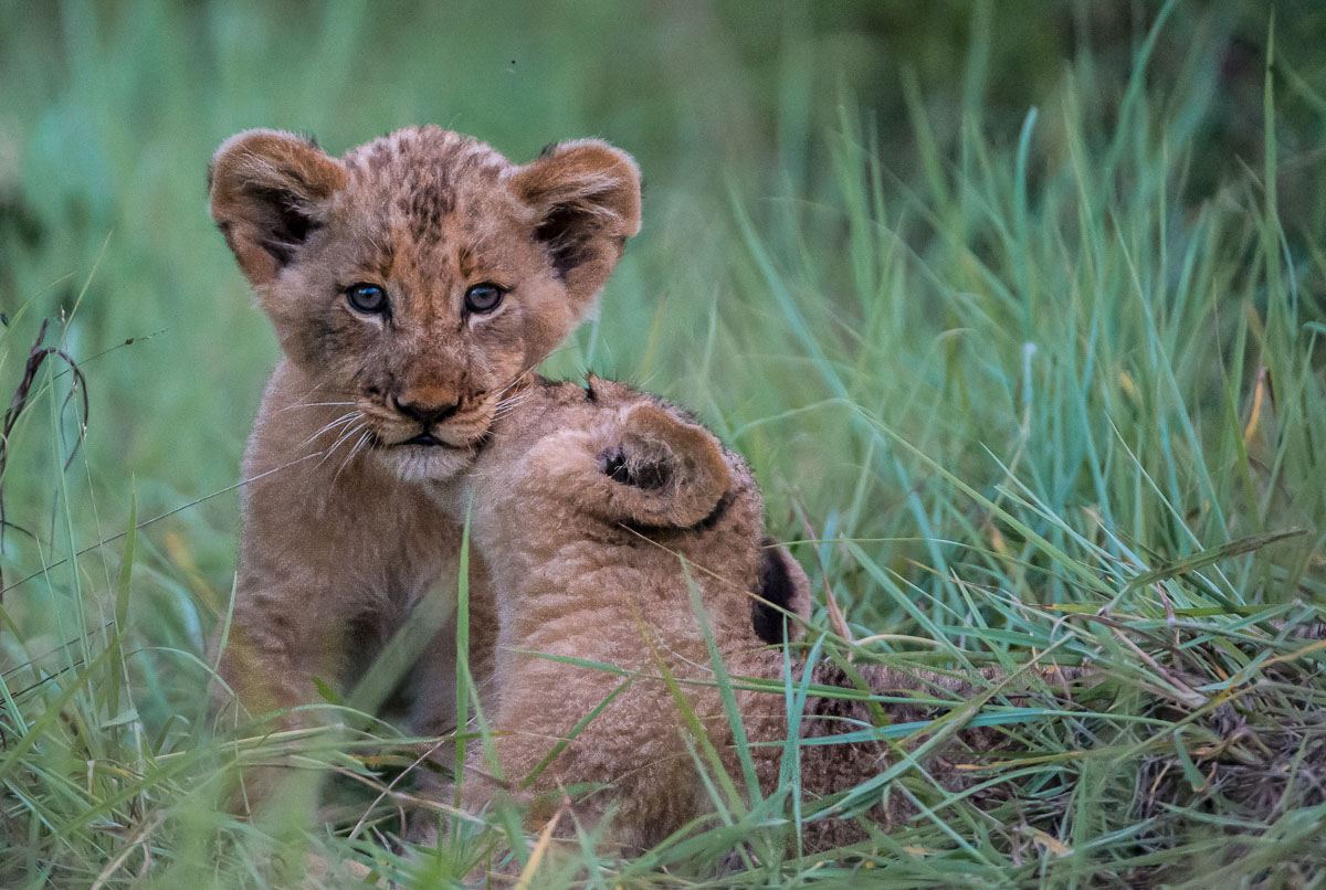 Would definitely use Timbuktu again to plan our trip!