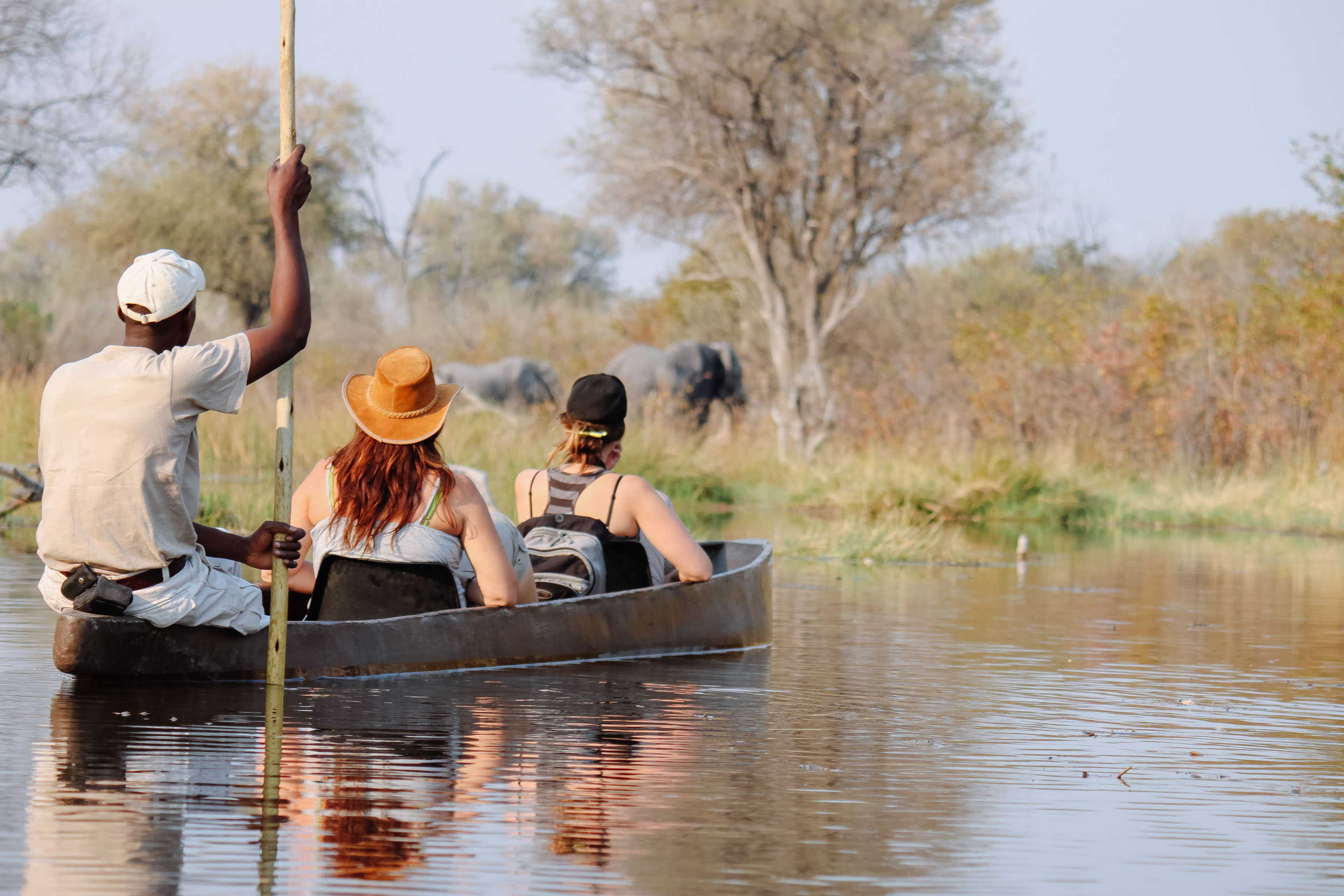 Glide along the water on a Mokoro Safari