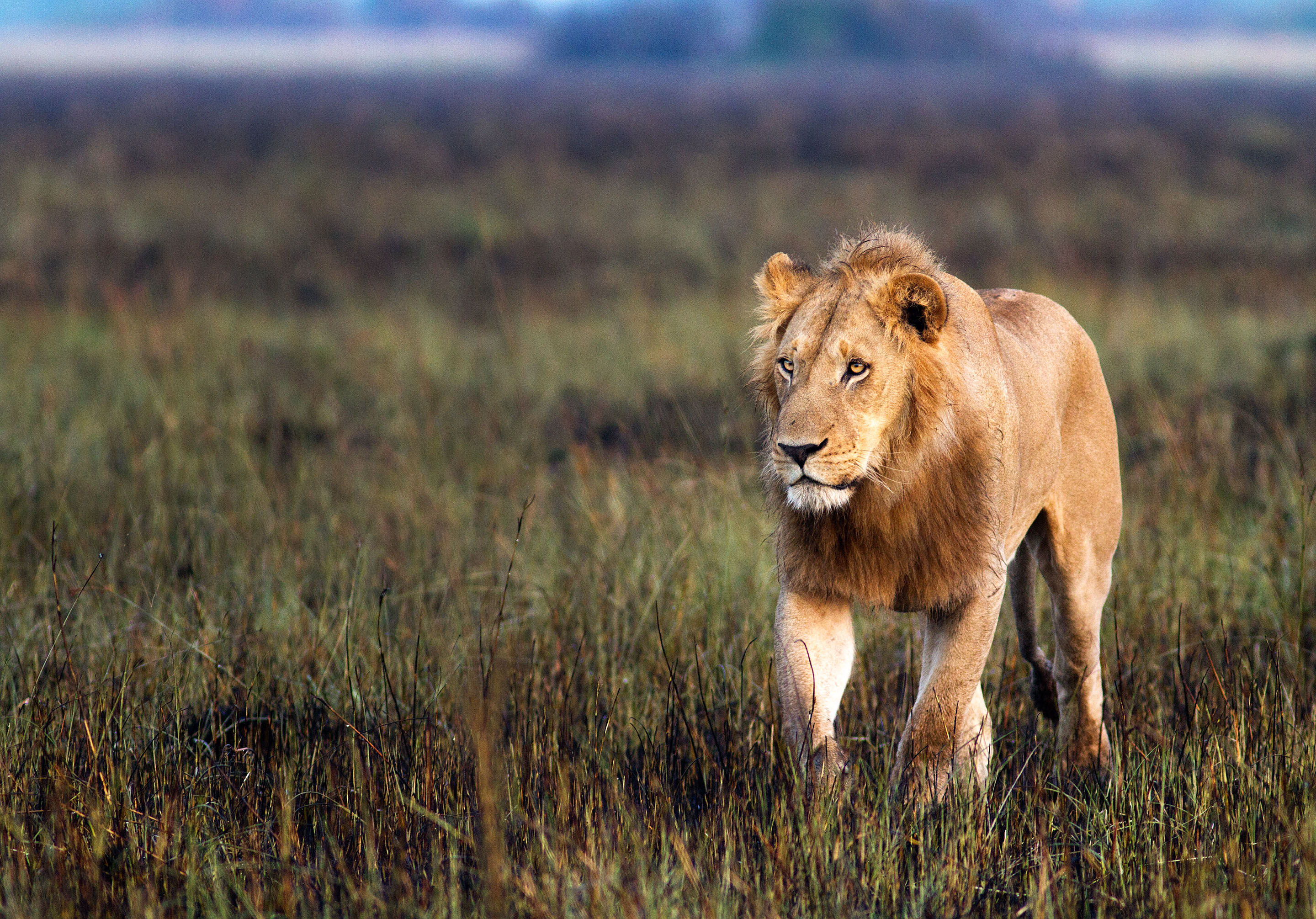 Picked the best for our budget and needs