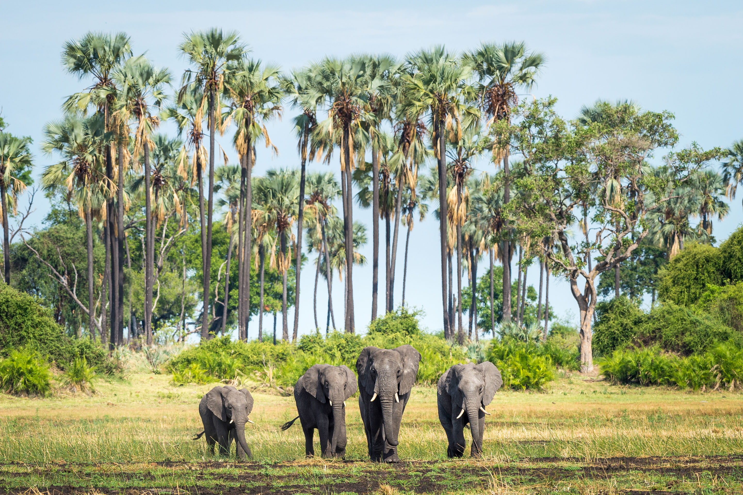 Excellent customer service!