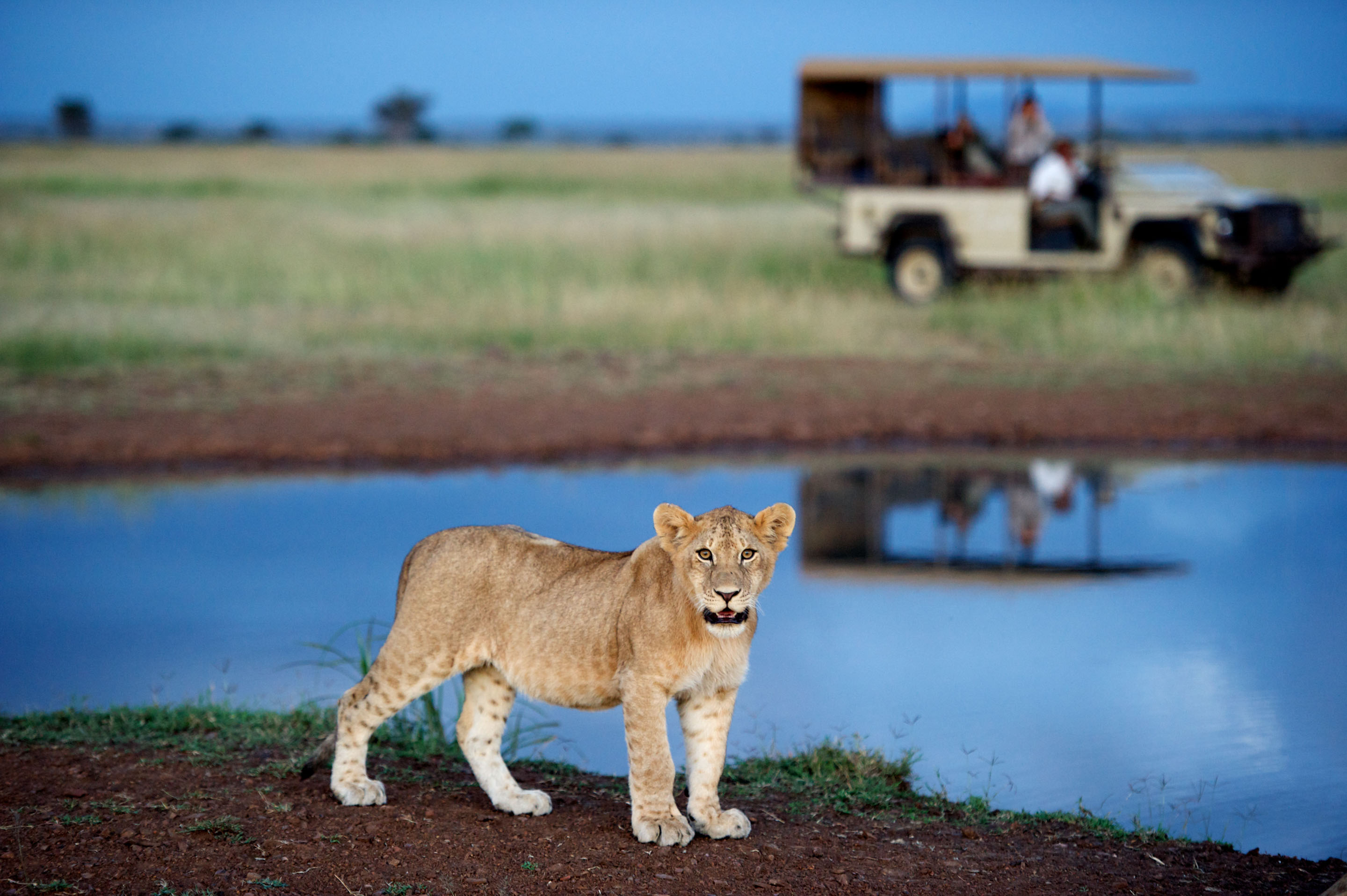 Unforgettable experience!