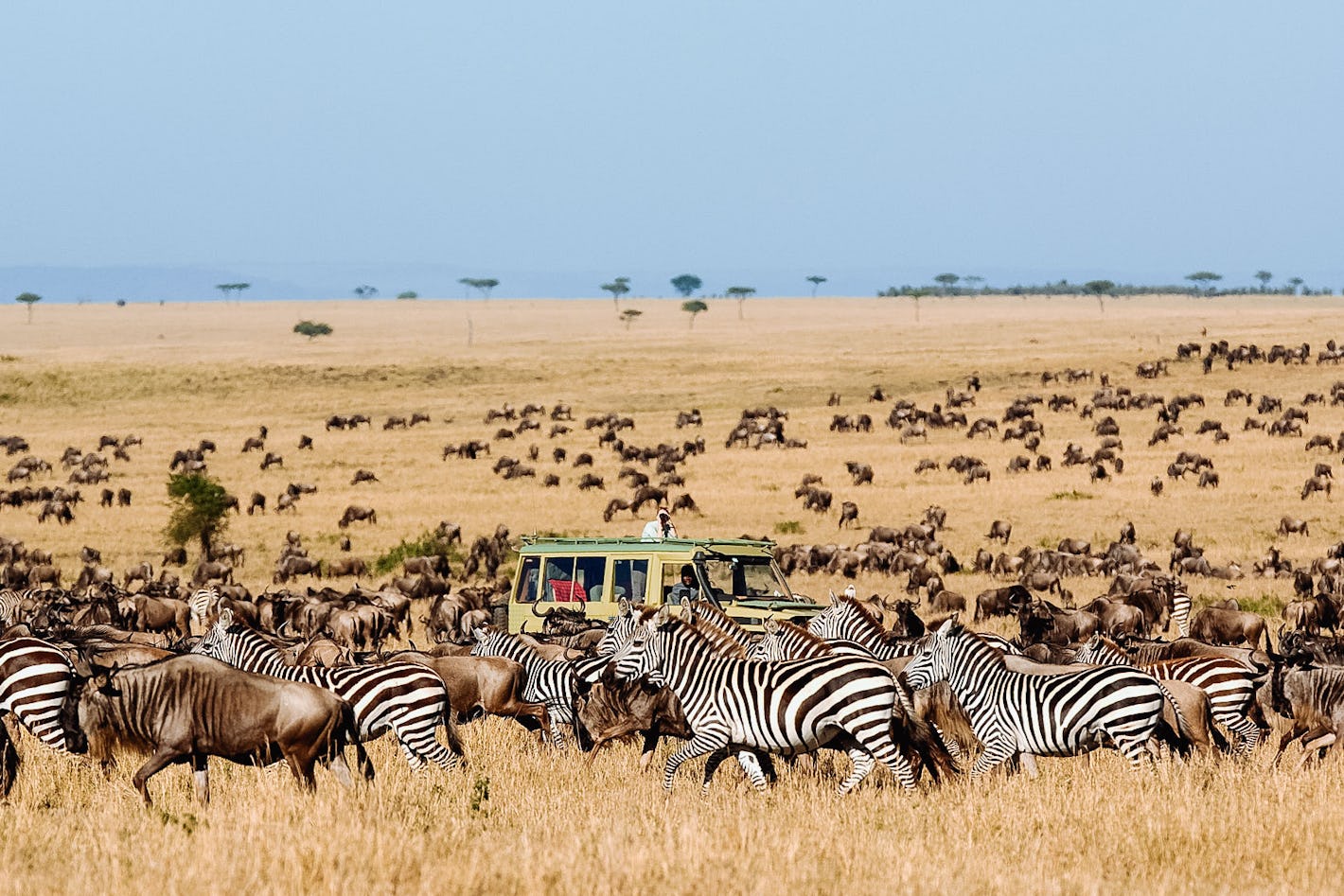 Discover the Top 10 Places to Visit in Tanzania - Witnessing the Great Migration in the Serengeti
