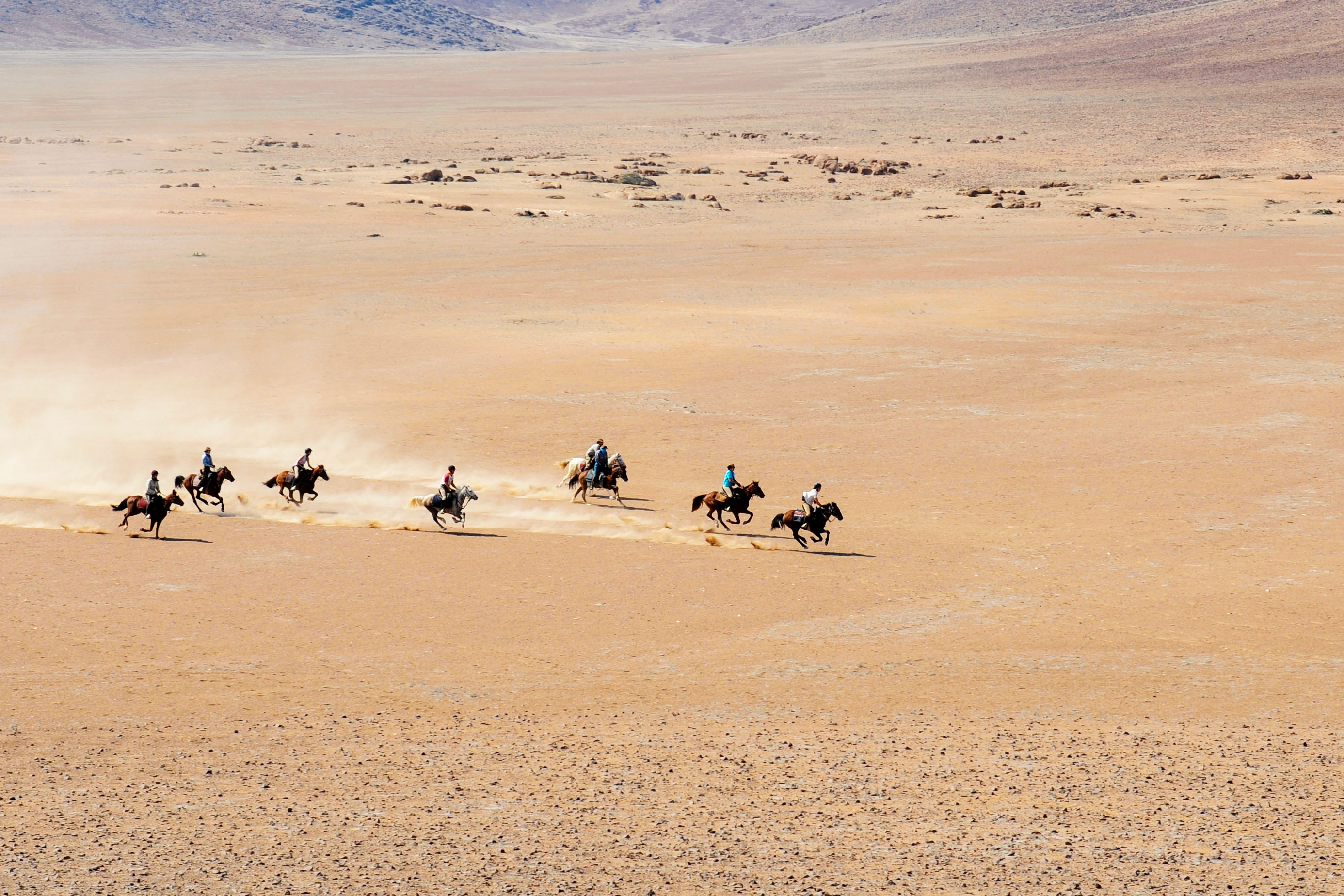 Gallop across the Damaraland desert on horseback
