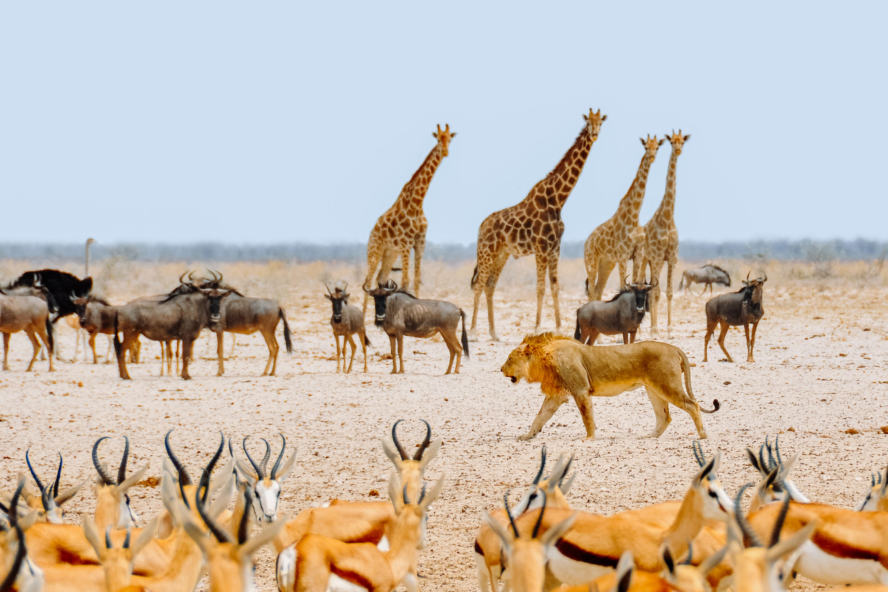 Making a personal holiday - together