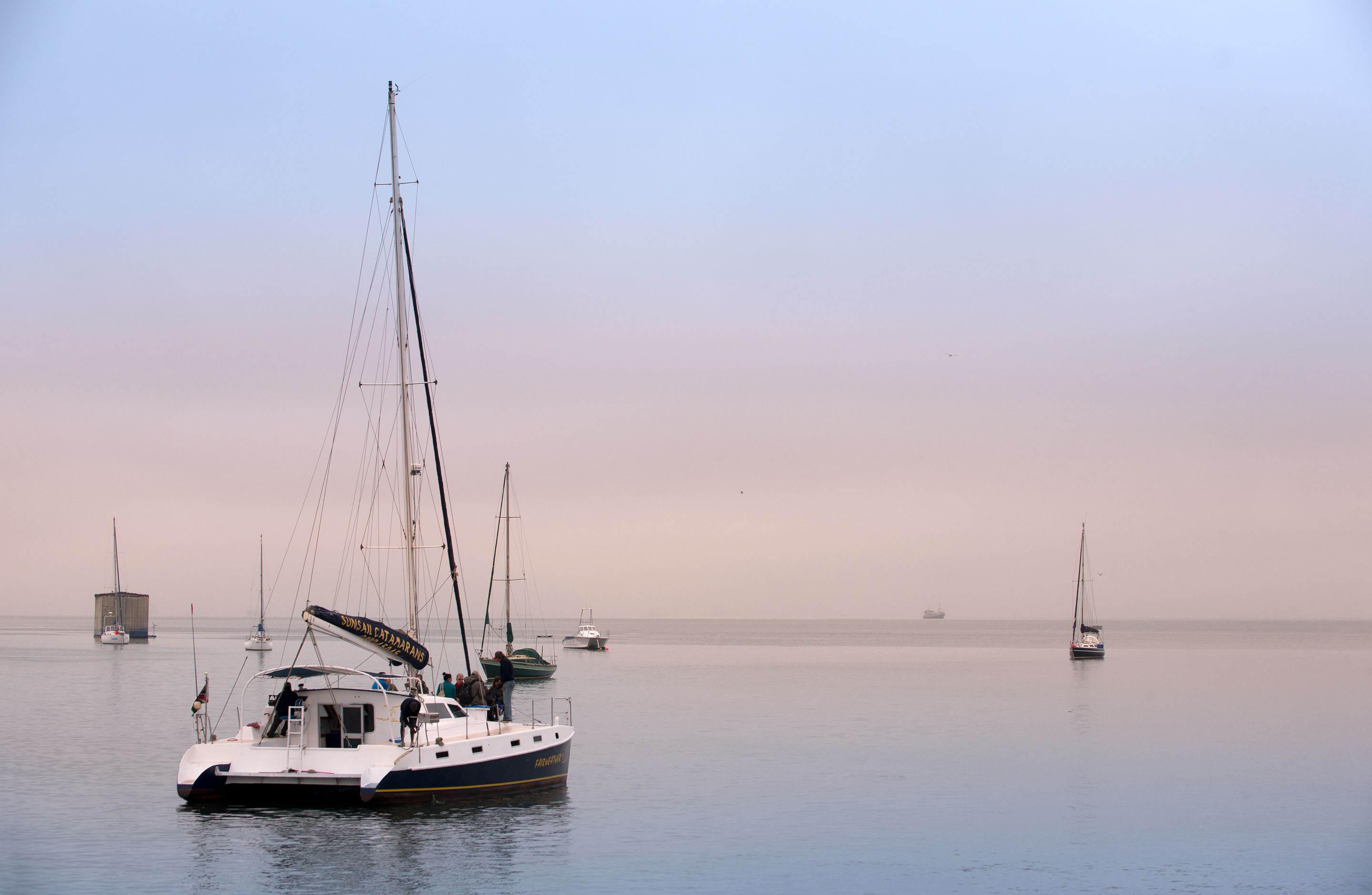 Head out on a catamaran cruise to spot Dolphins