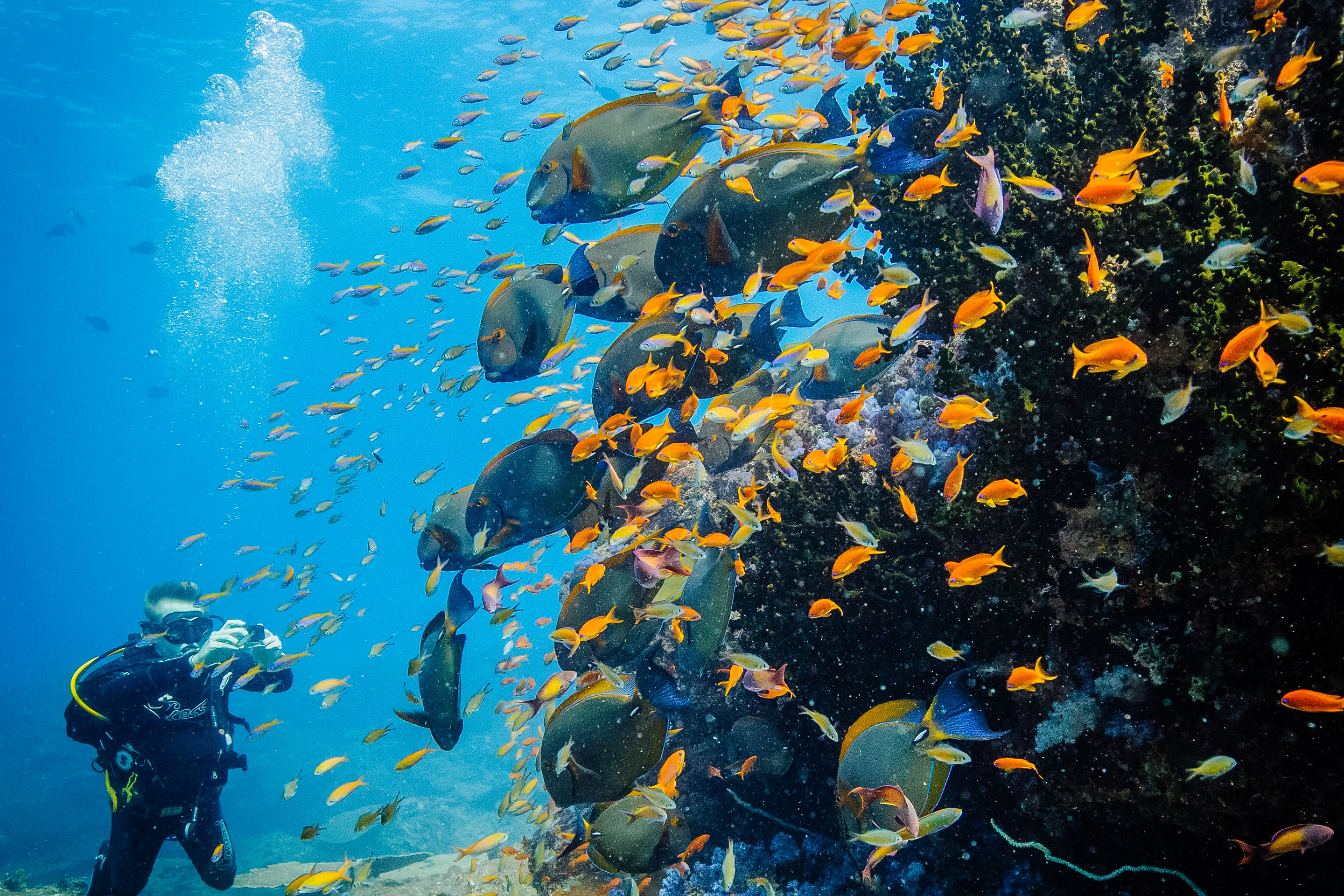 Go scuba diving off Benguerra Island