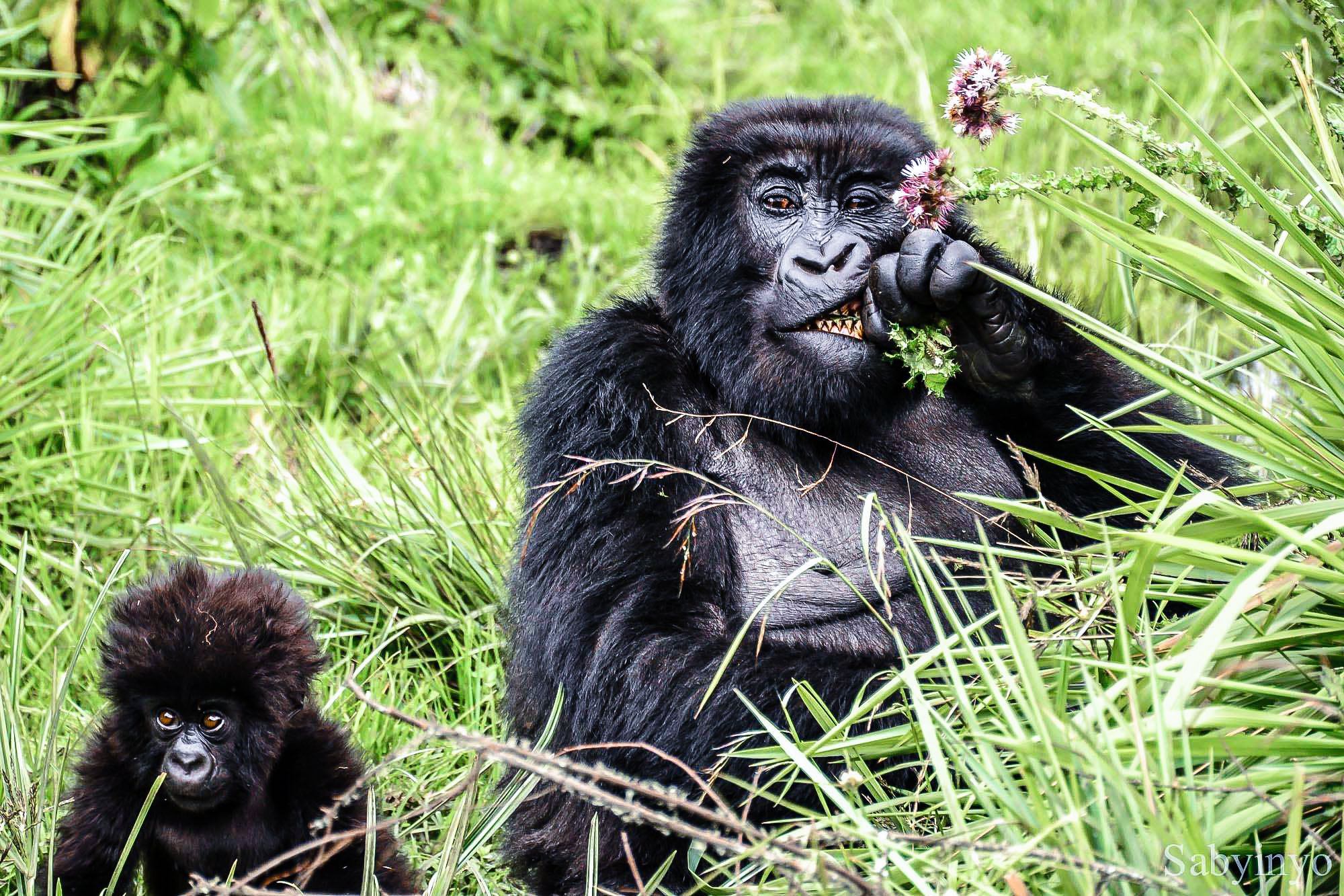 Highly, highly recommend Timbuktu. They will help you plan your dream trip!