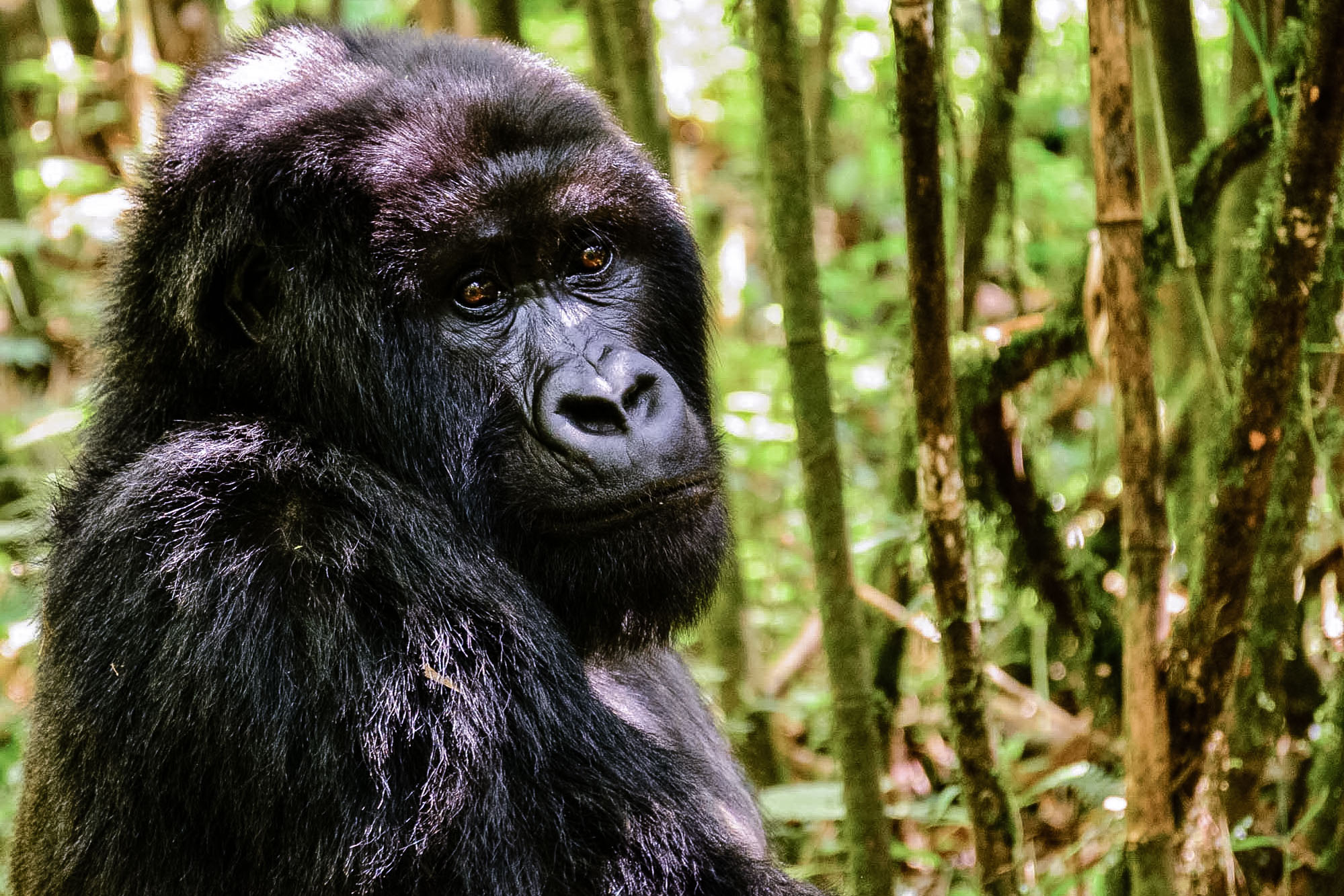 Exceptional service. Dream holiday