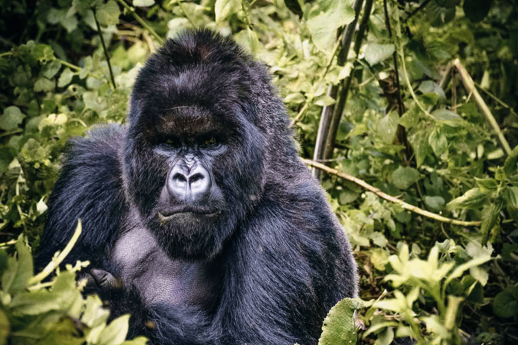 Wonderful attention to detail helping us plan a family trip of a lifetime