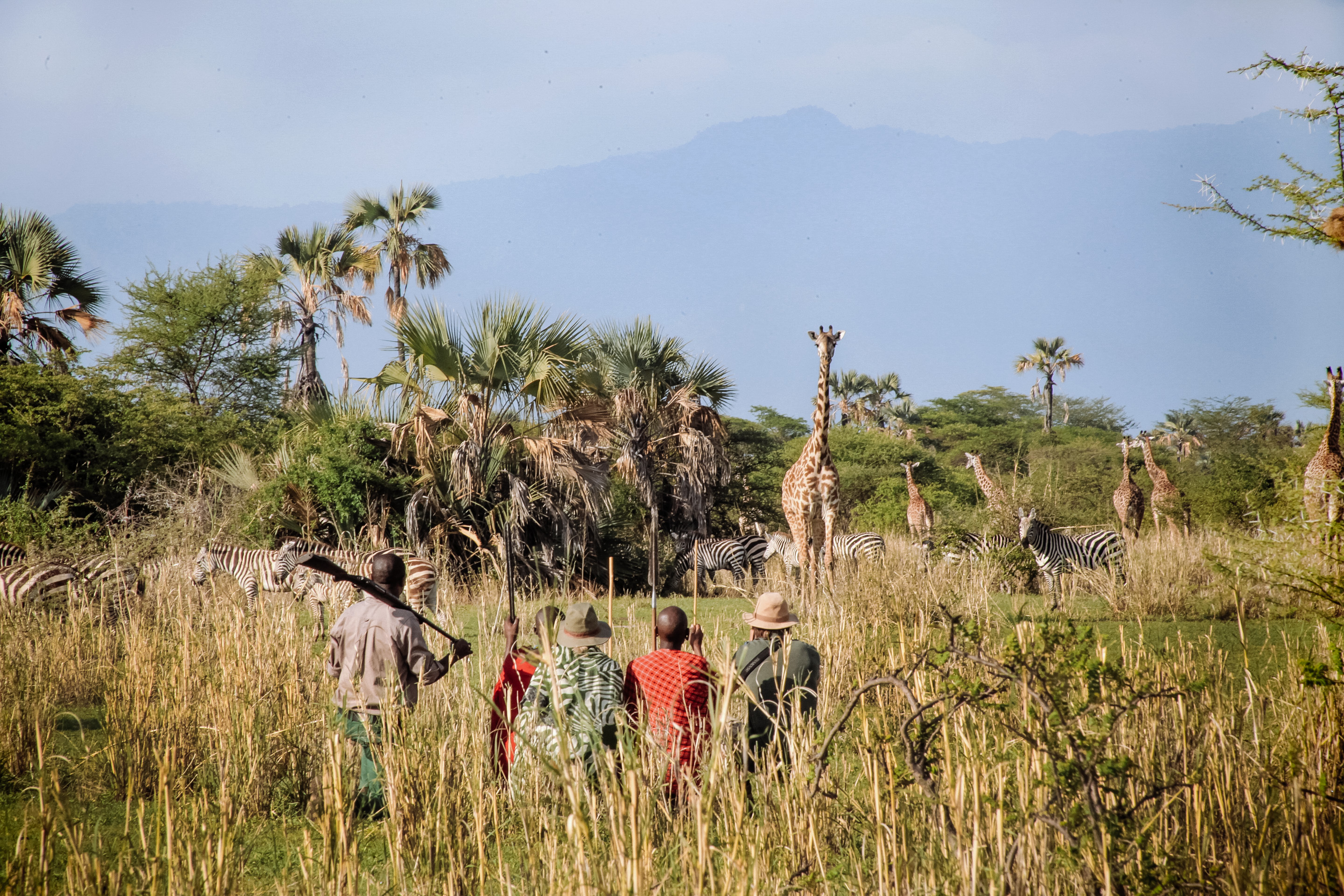 Go on a walking safari along Lake Manyara