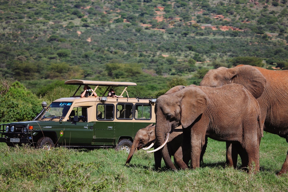 Track Laikipia's wildlife on a game drive | Timbuktu Travel