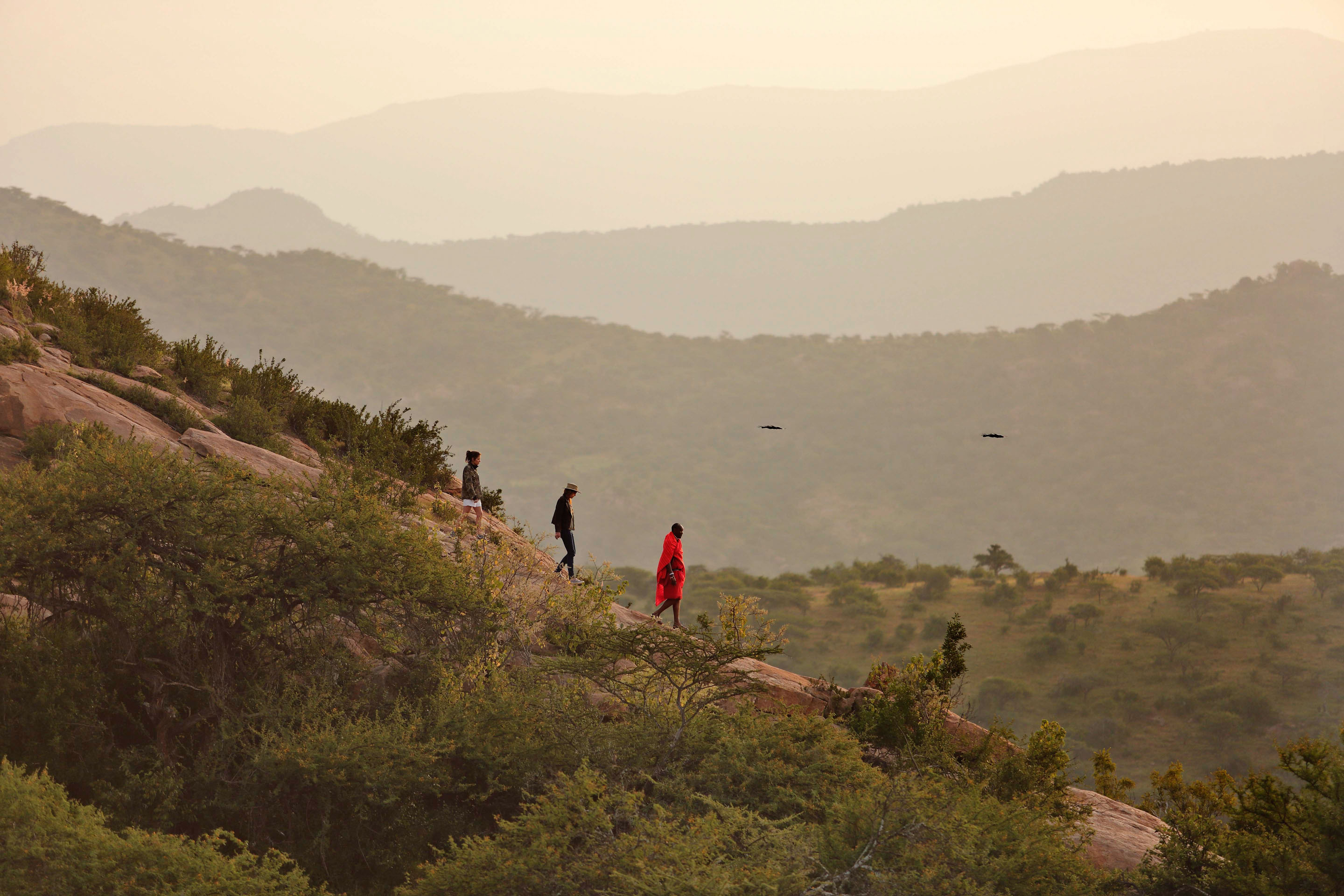 Spot wildlife on a Laikipia bush walk