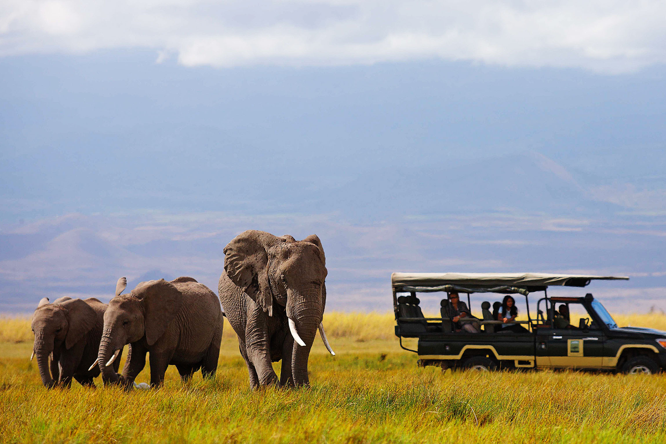 The best of Kenya and Tanzania