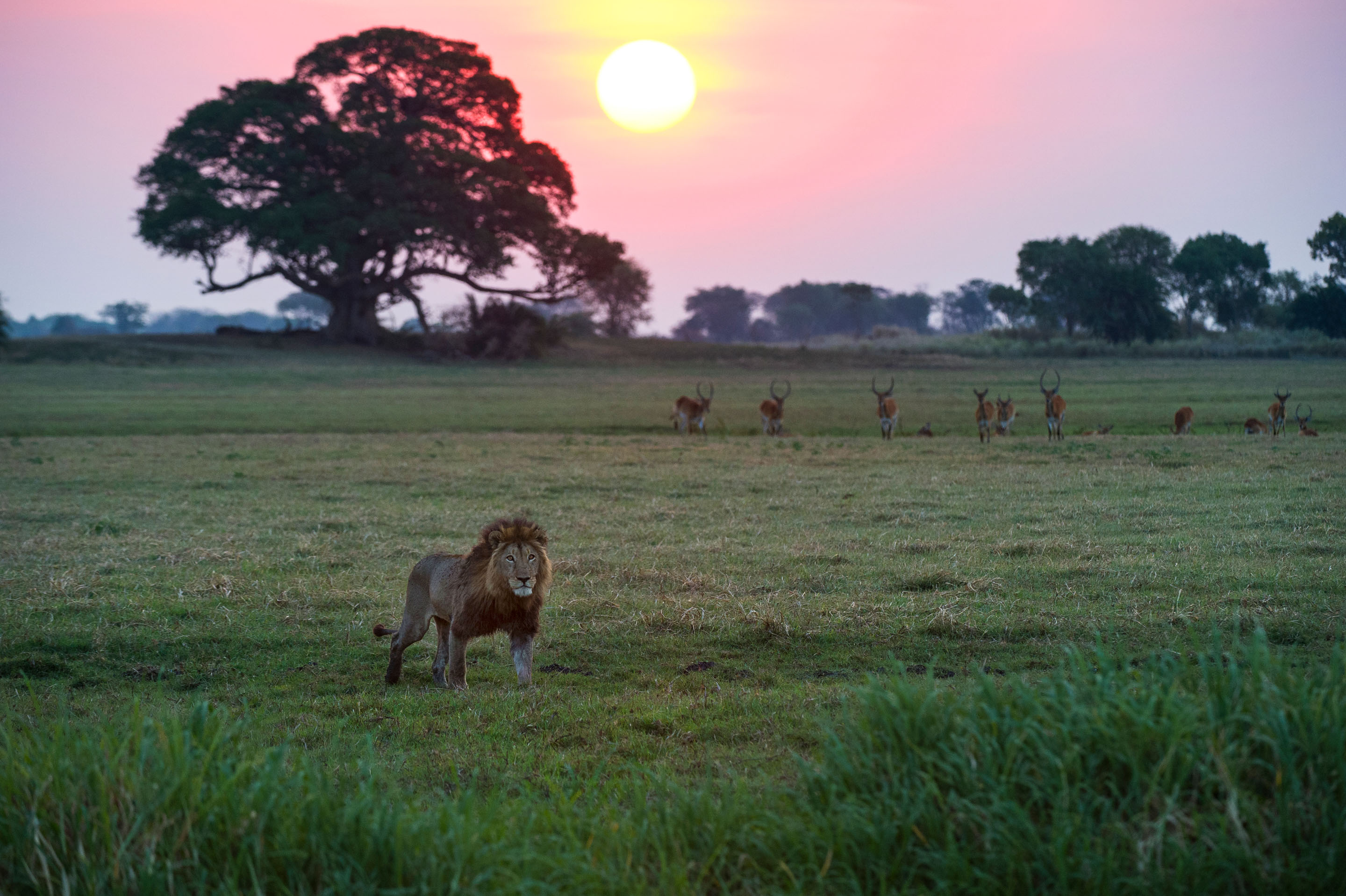 Experience a different side of Zambia in the Kafue