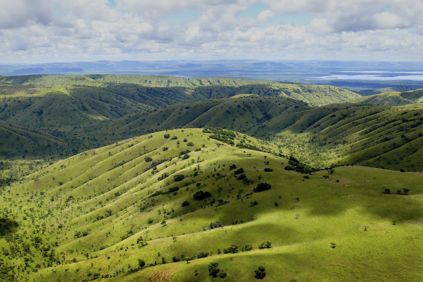 Akagera National Park