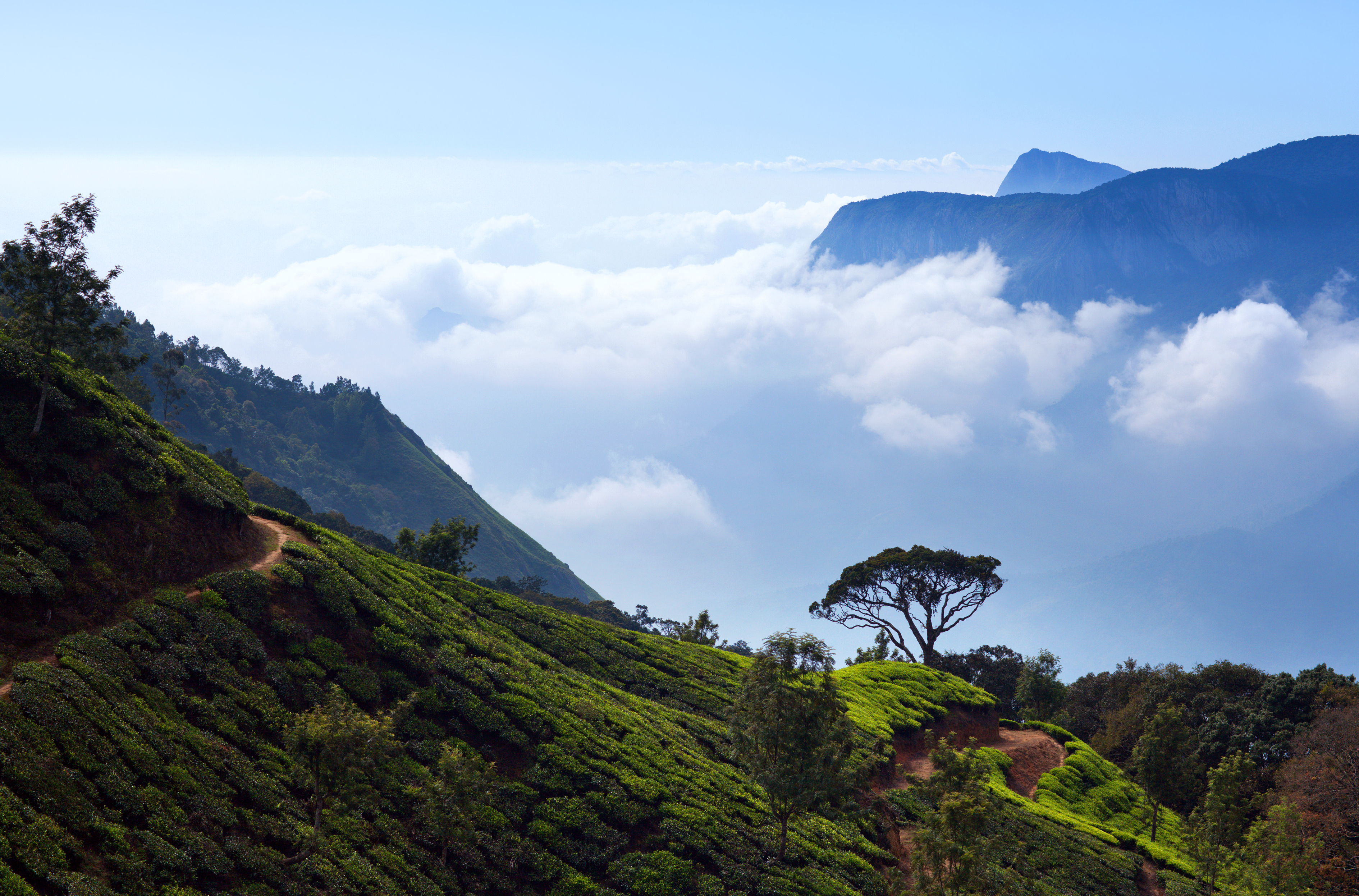 Munnar