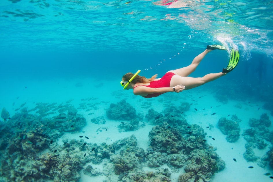 Snorkel the crystal clear waters of Diani Timbuktu Travel