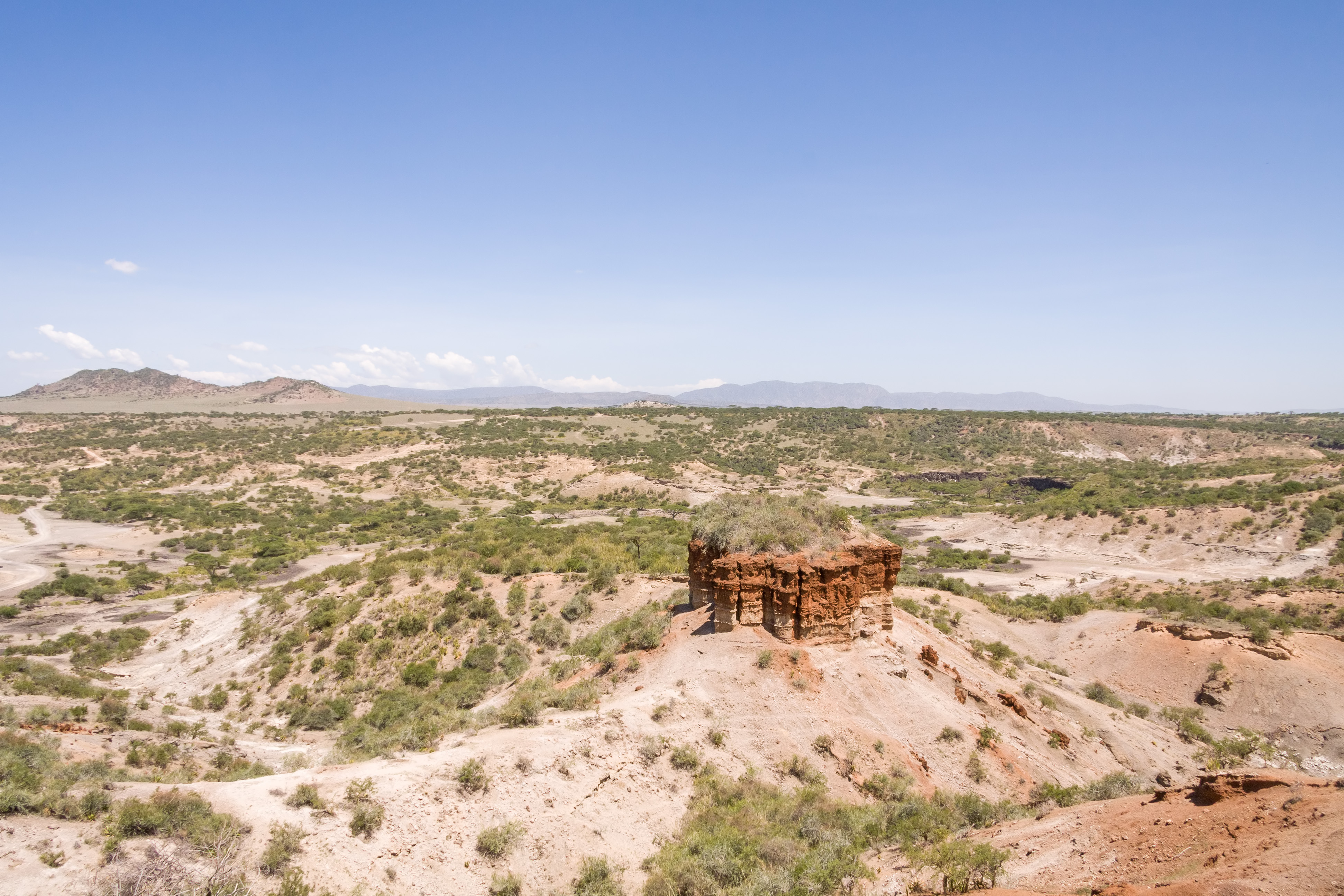 Discover the history of Olduvai Gorge, Ngorongoro