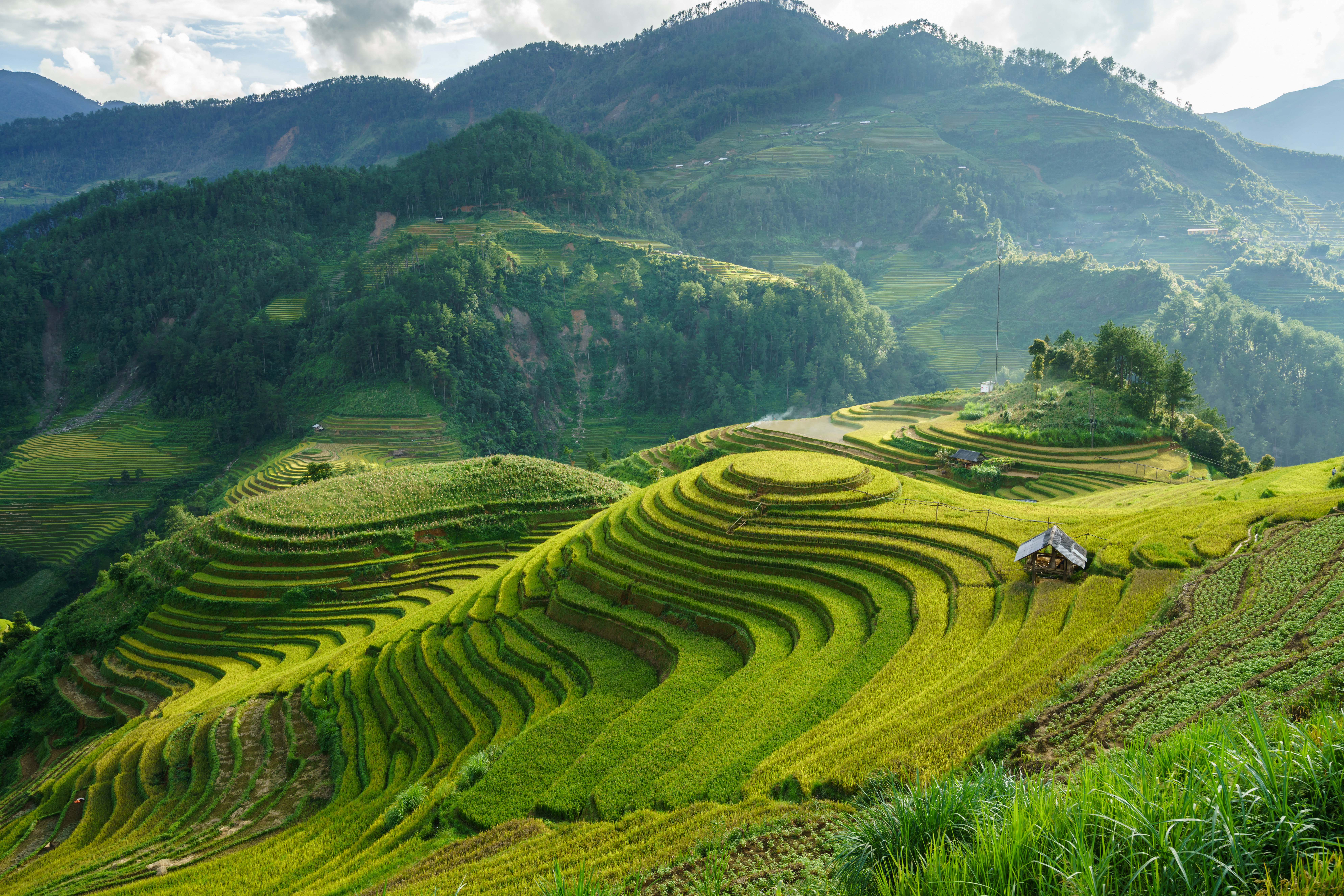 Explore rural Sapa on a hike
