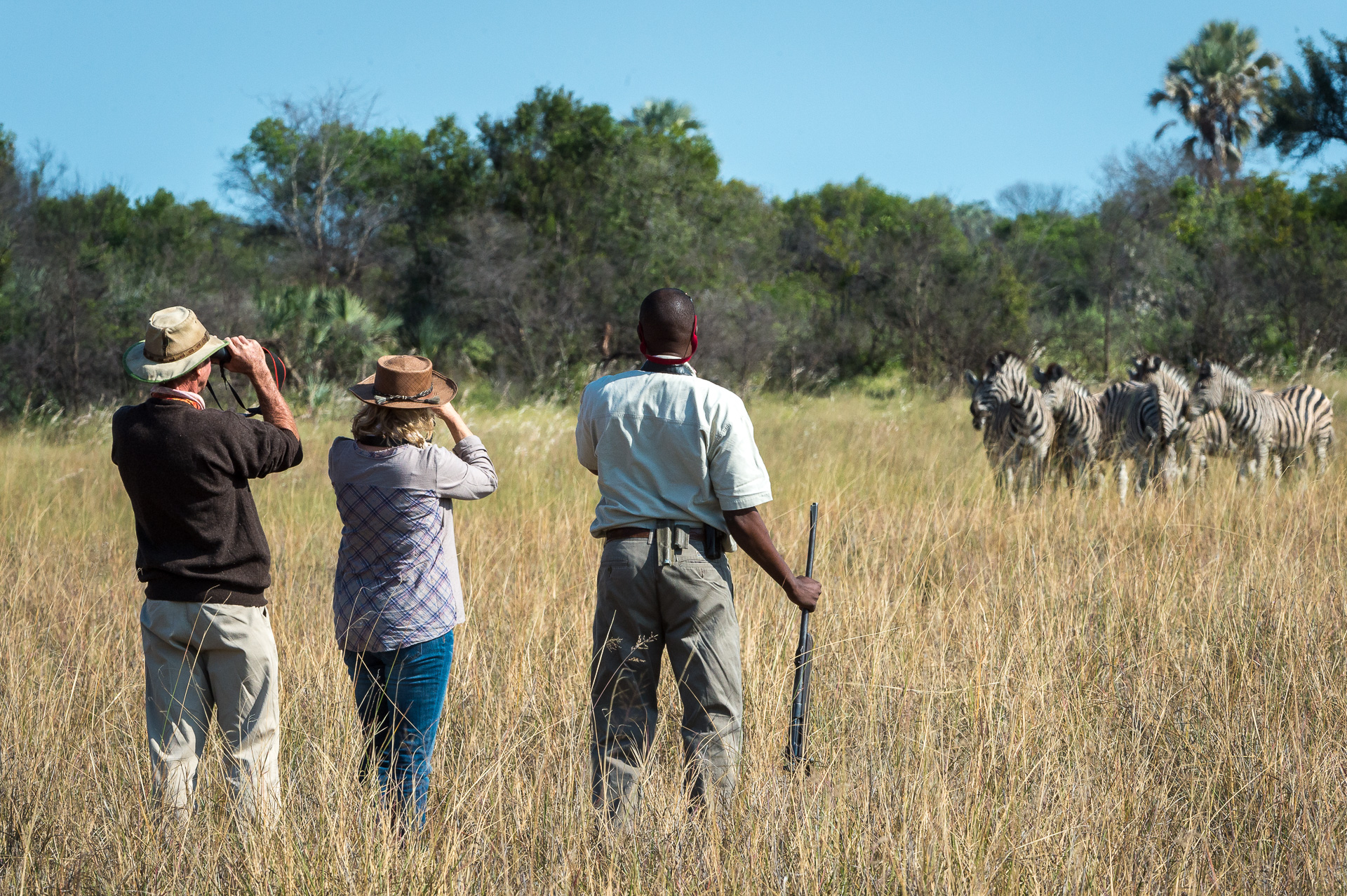 Discover the smaller wildlife on a bush walk
