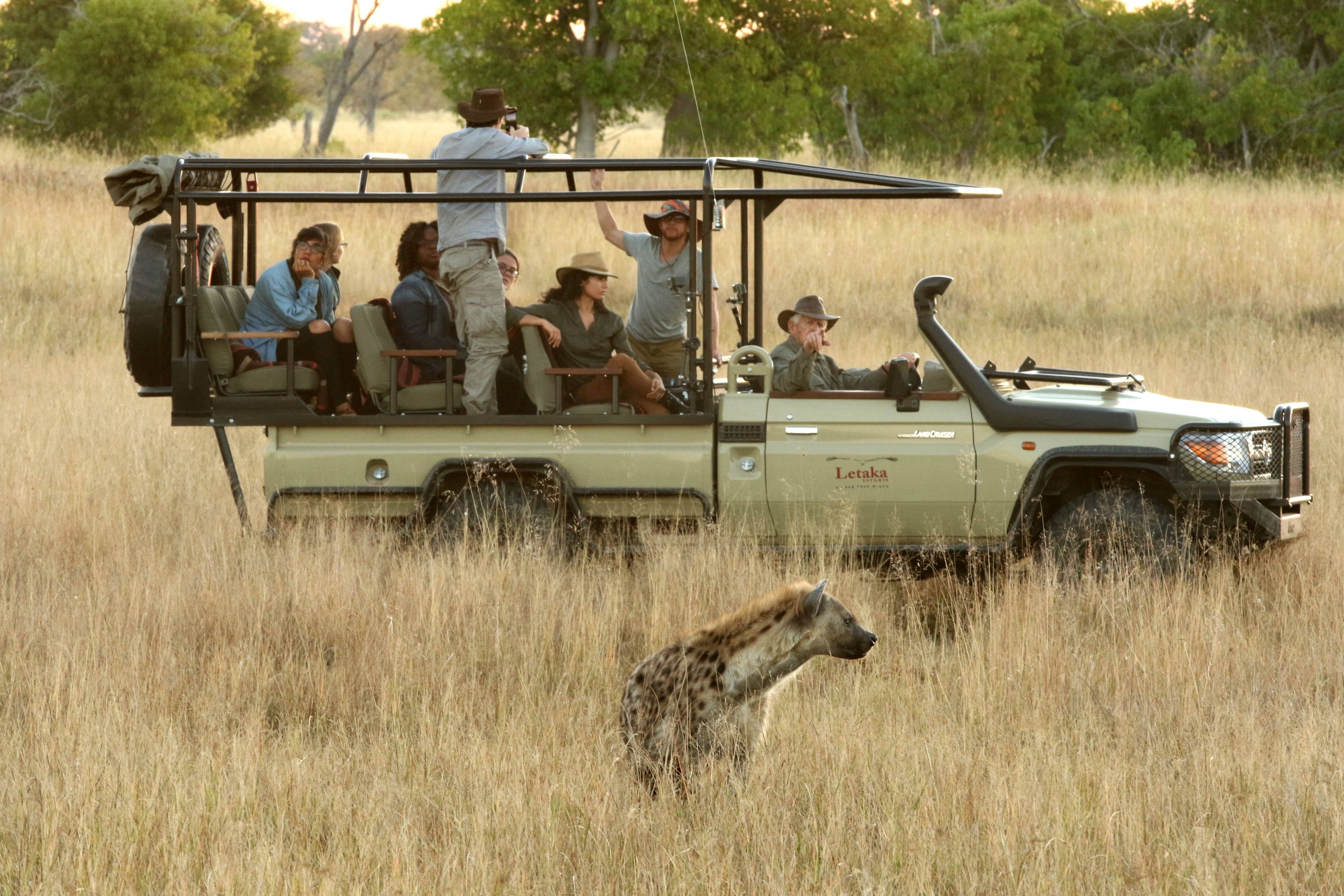 Track Chobe's wildlife on a game drive