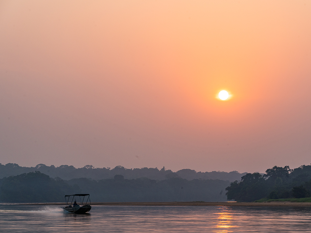 Cruise the waterways on a Dzanga-Sangha boat trip