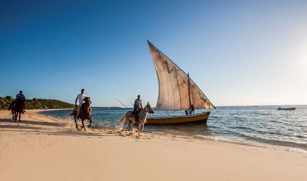Gallop along Bazaruto beach on a horseback ride