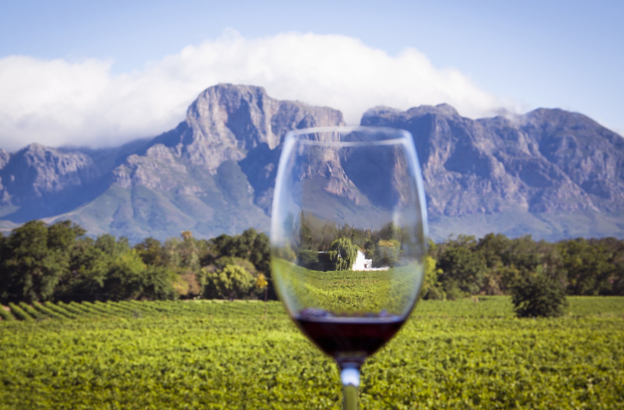Go wine tasting in the winelands of Cape Town