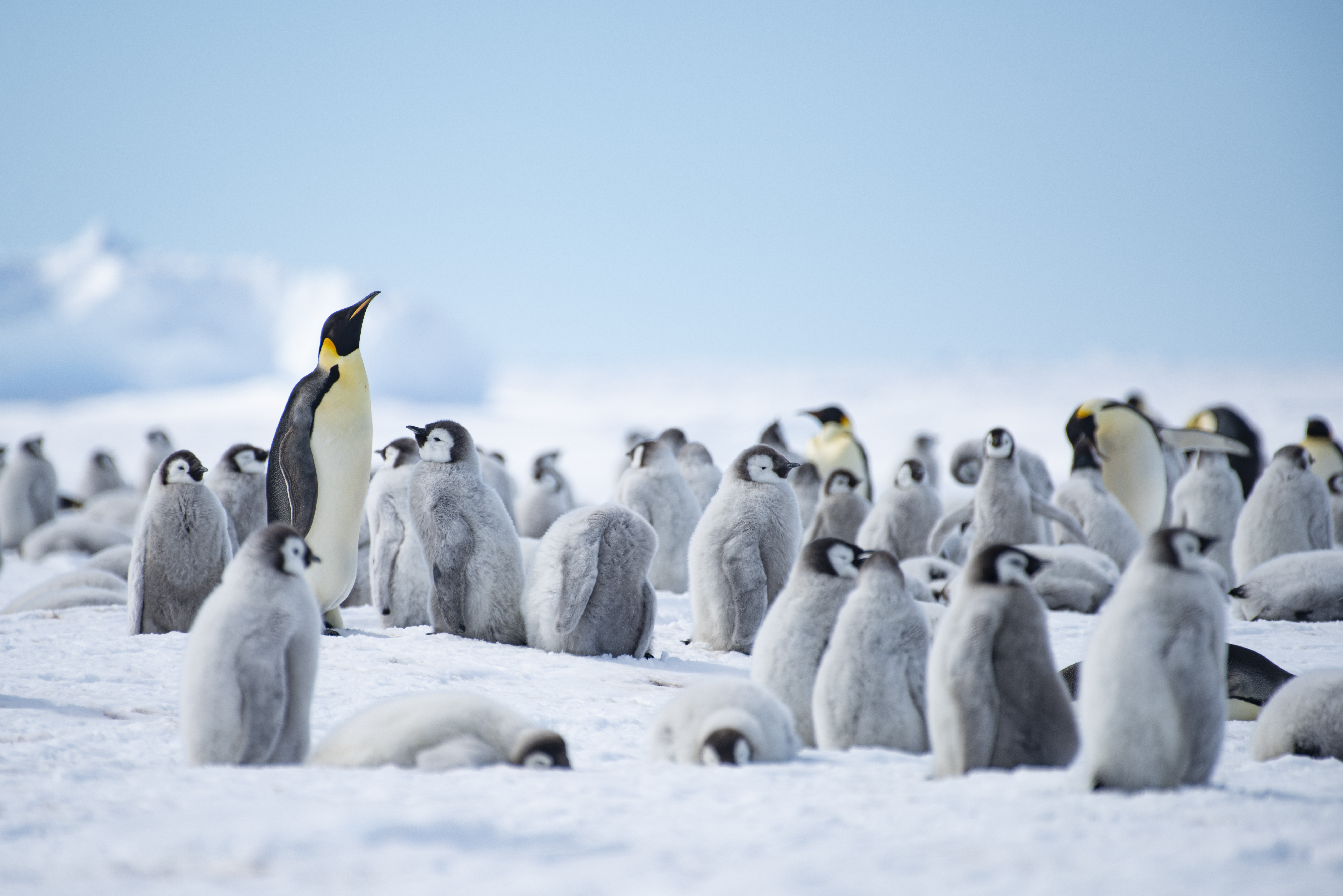 Exemplary Customer Service and Attention to Detail