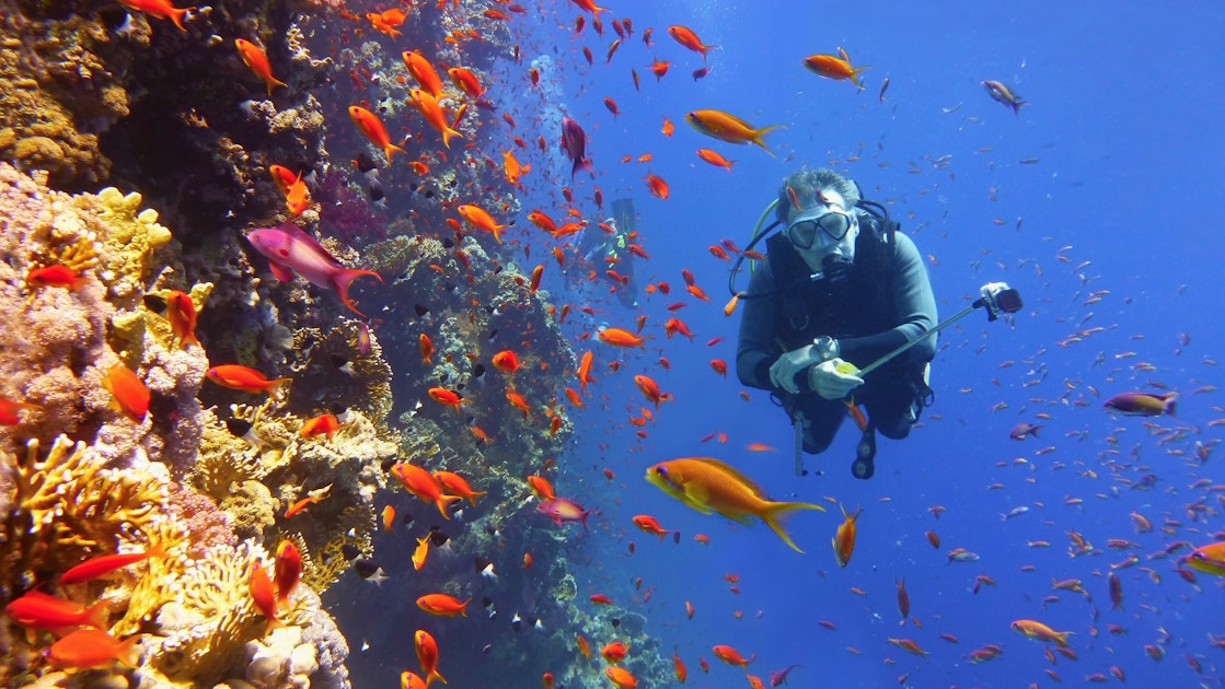 Go diving in Mauritius' marine liferich waters Timbuktu Travel