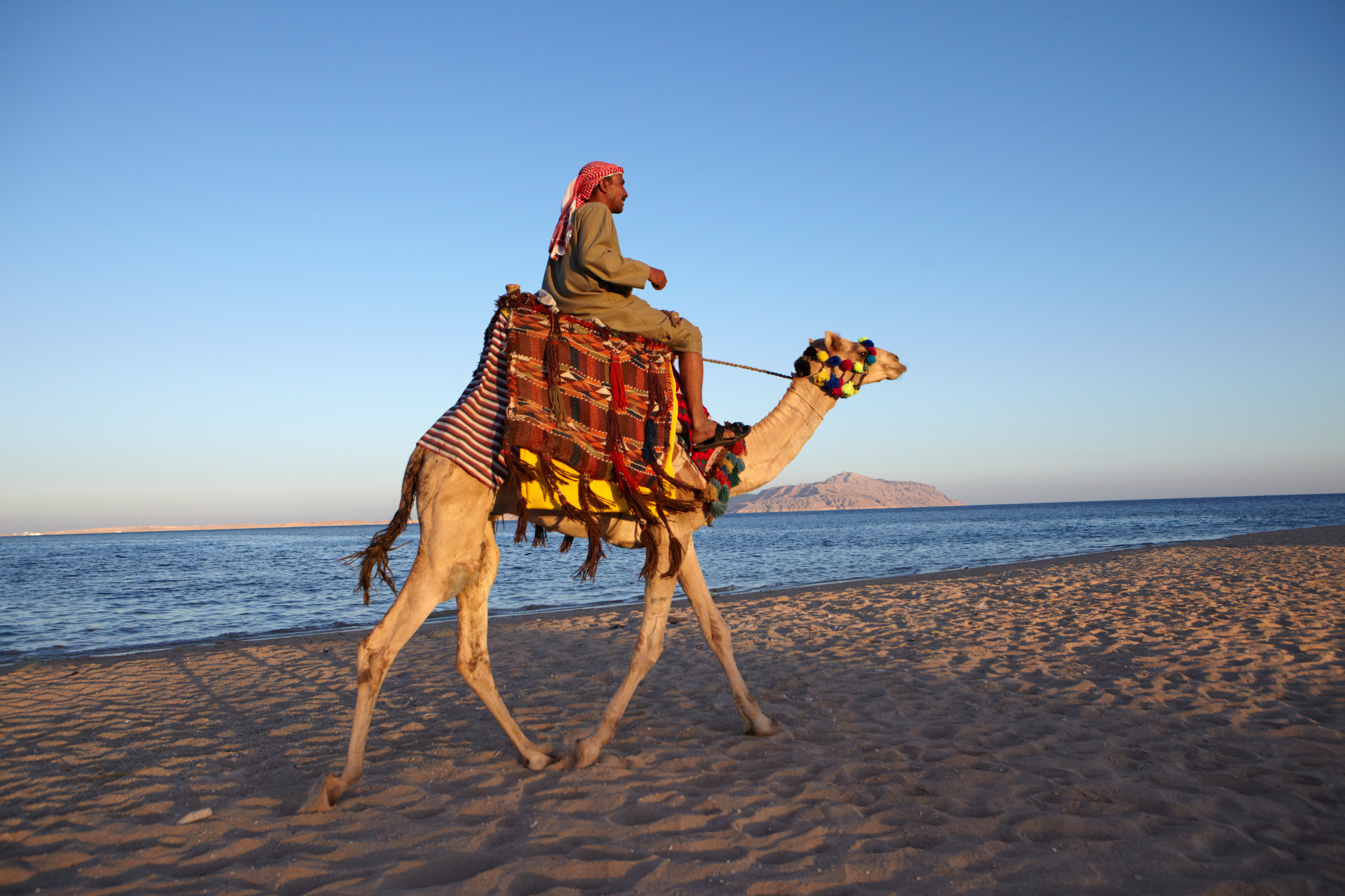 Ride through Hurghada's desert on a camel safari
