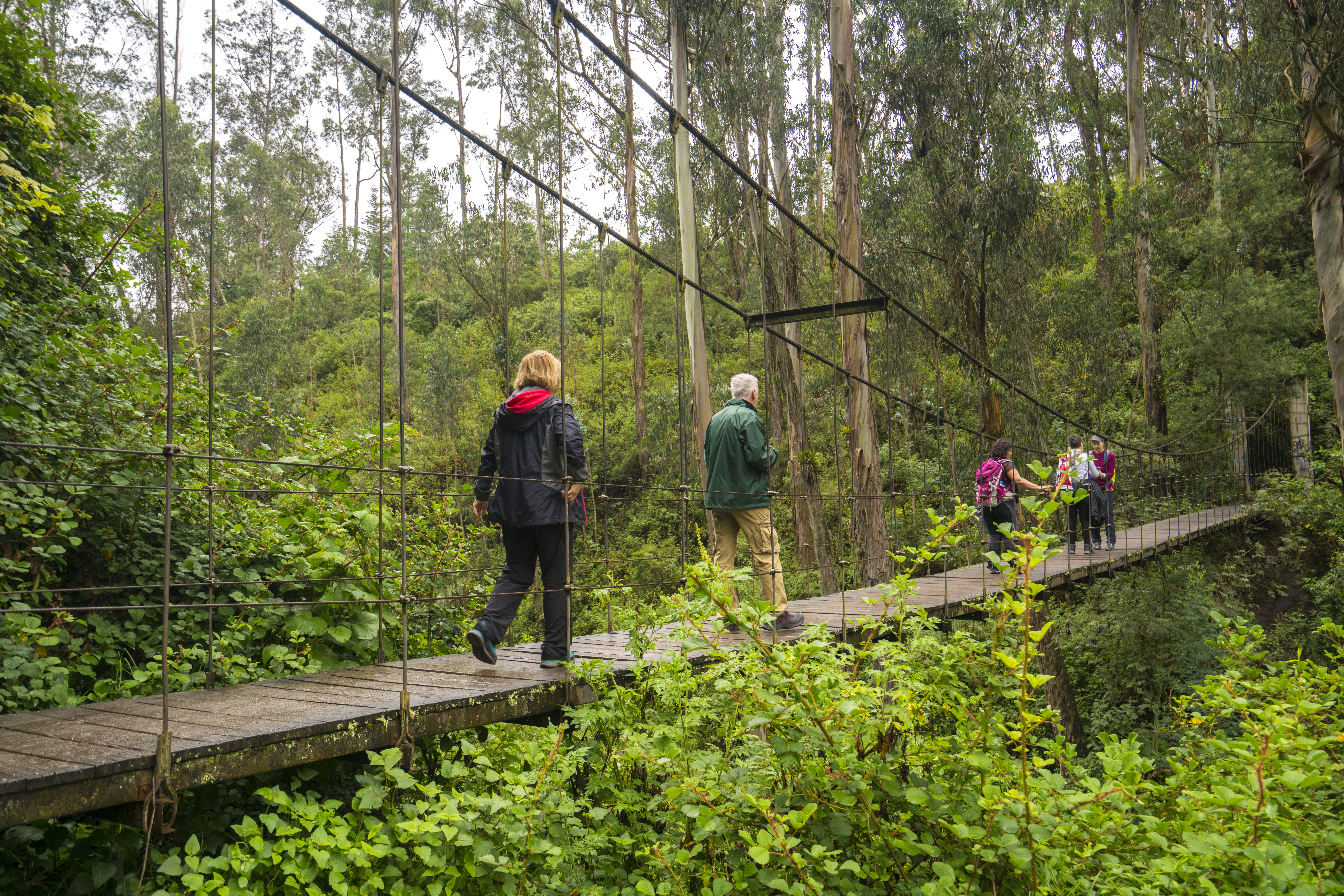 Hike through the fields, forests and mountains