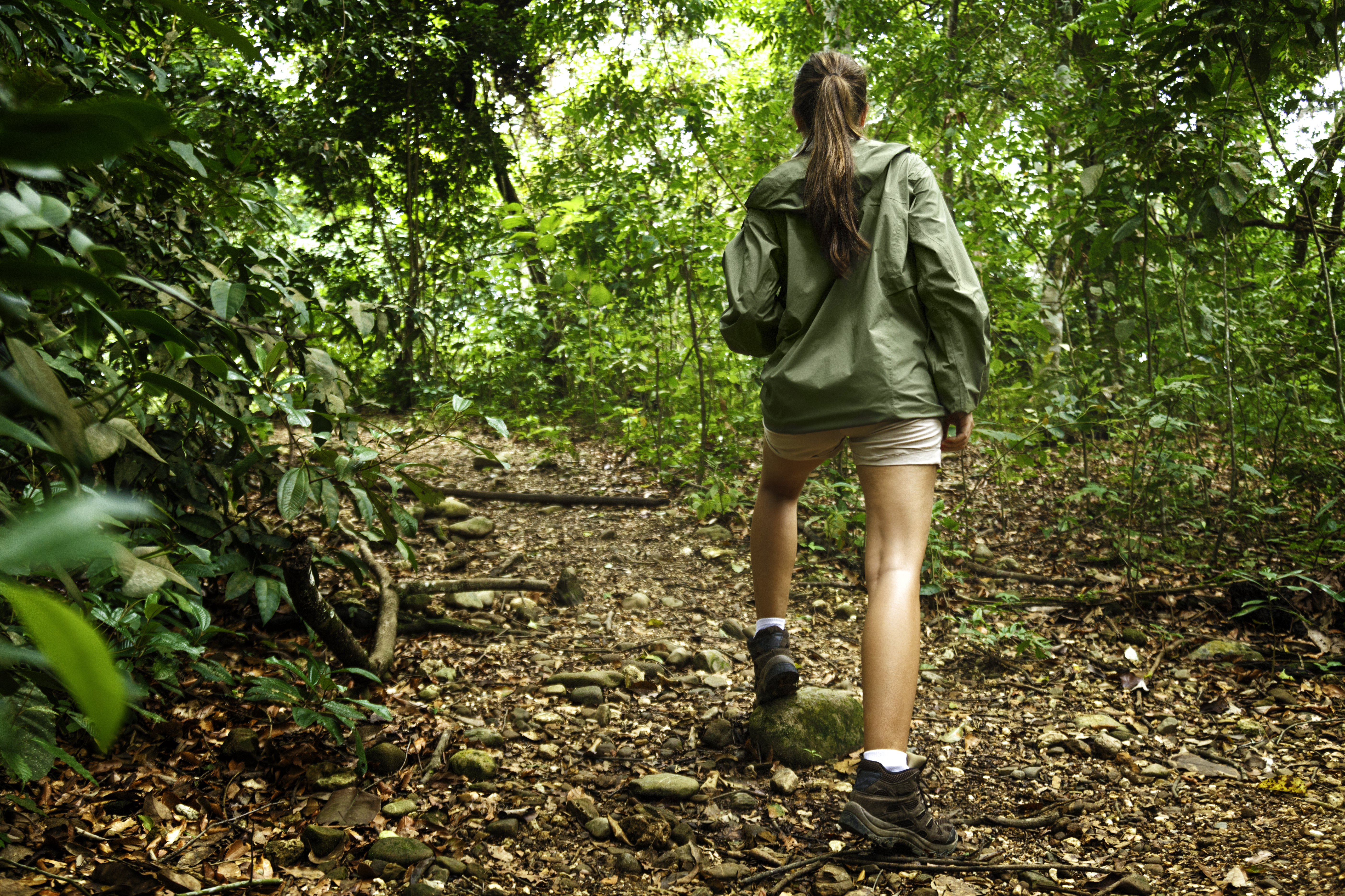 Trek through the Tambopata National Reserve