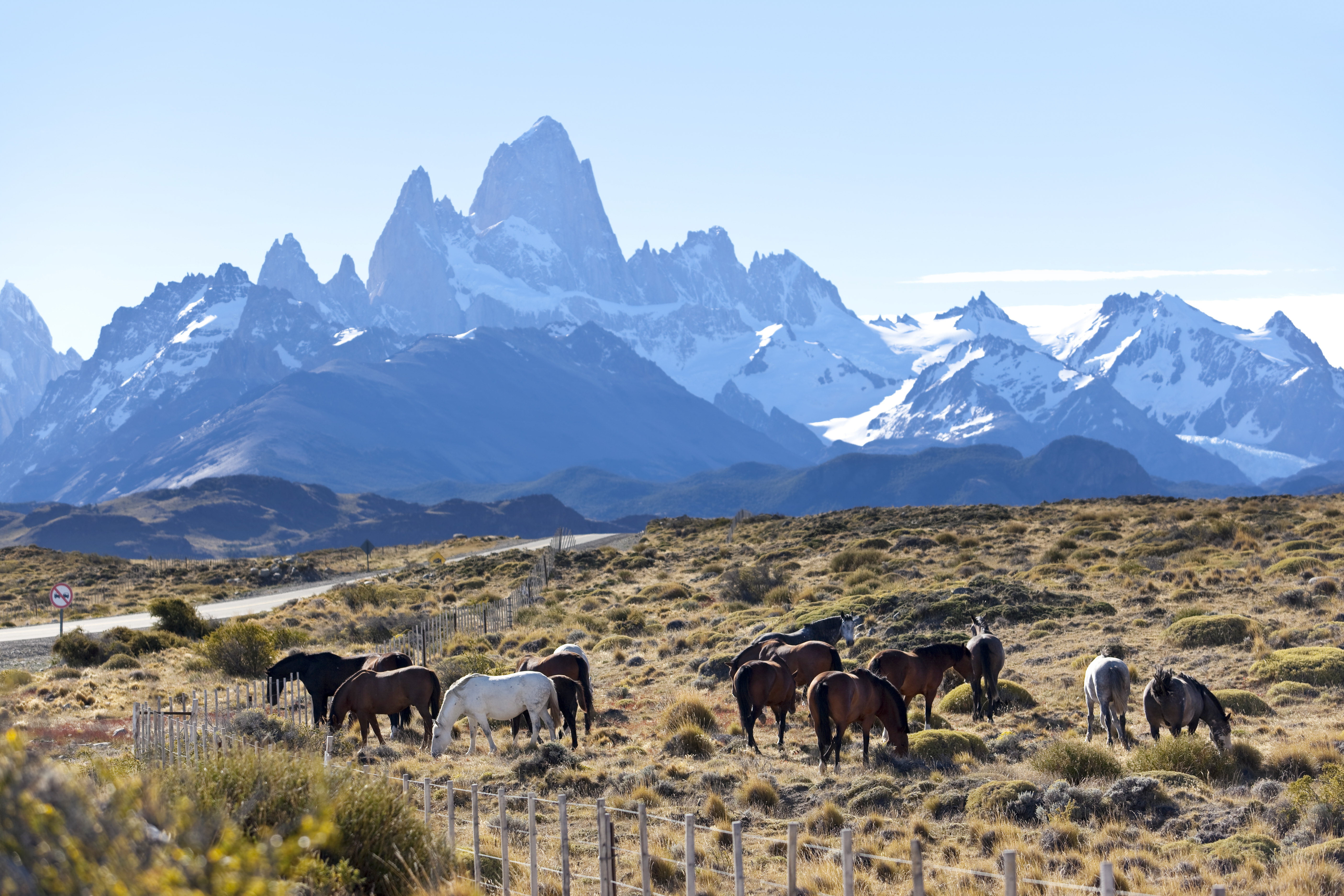 Explore El Chalten on horseback