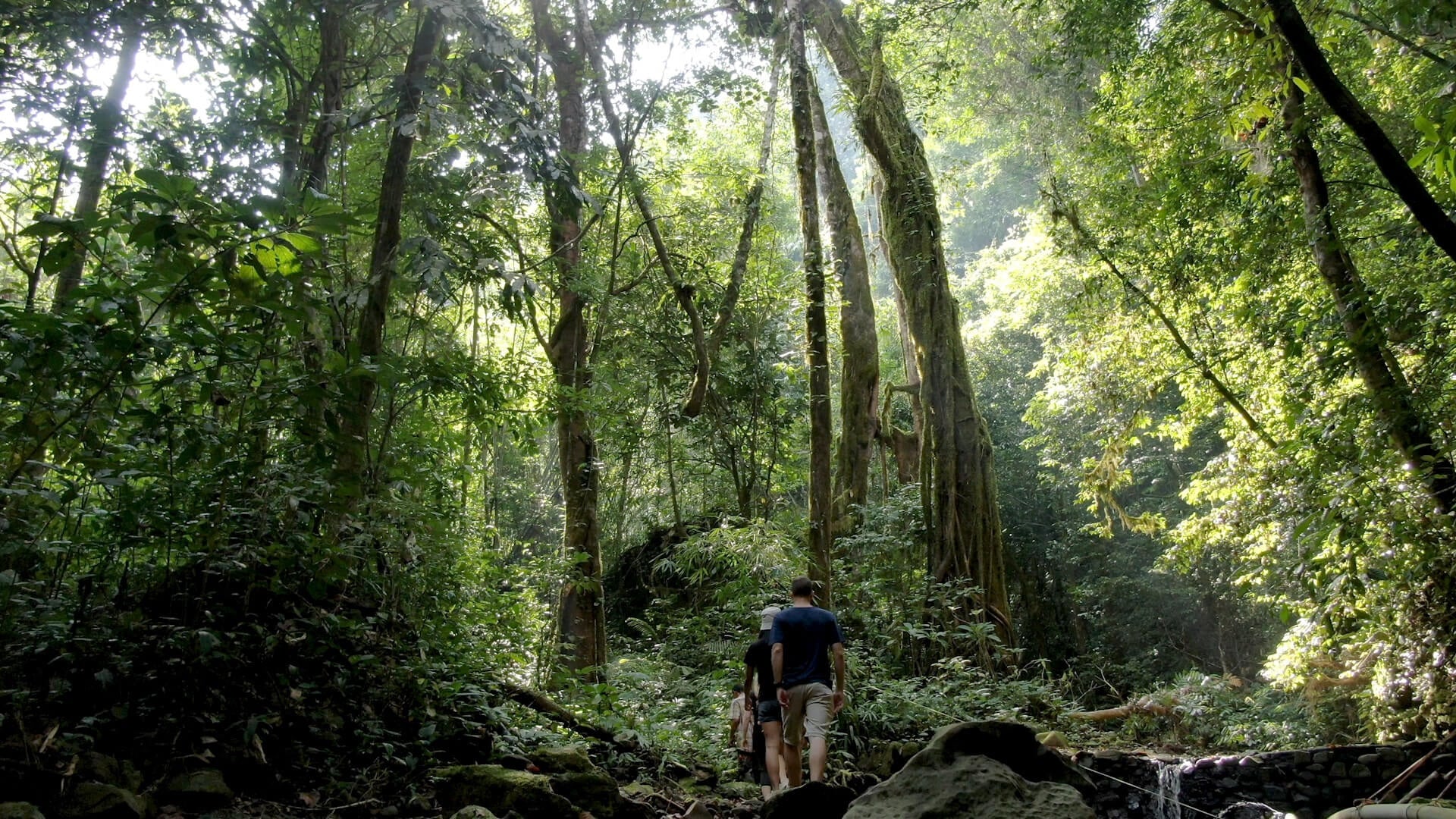 Hike in Khao Sok National Park