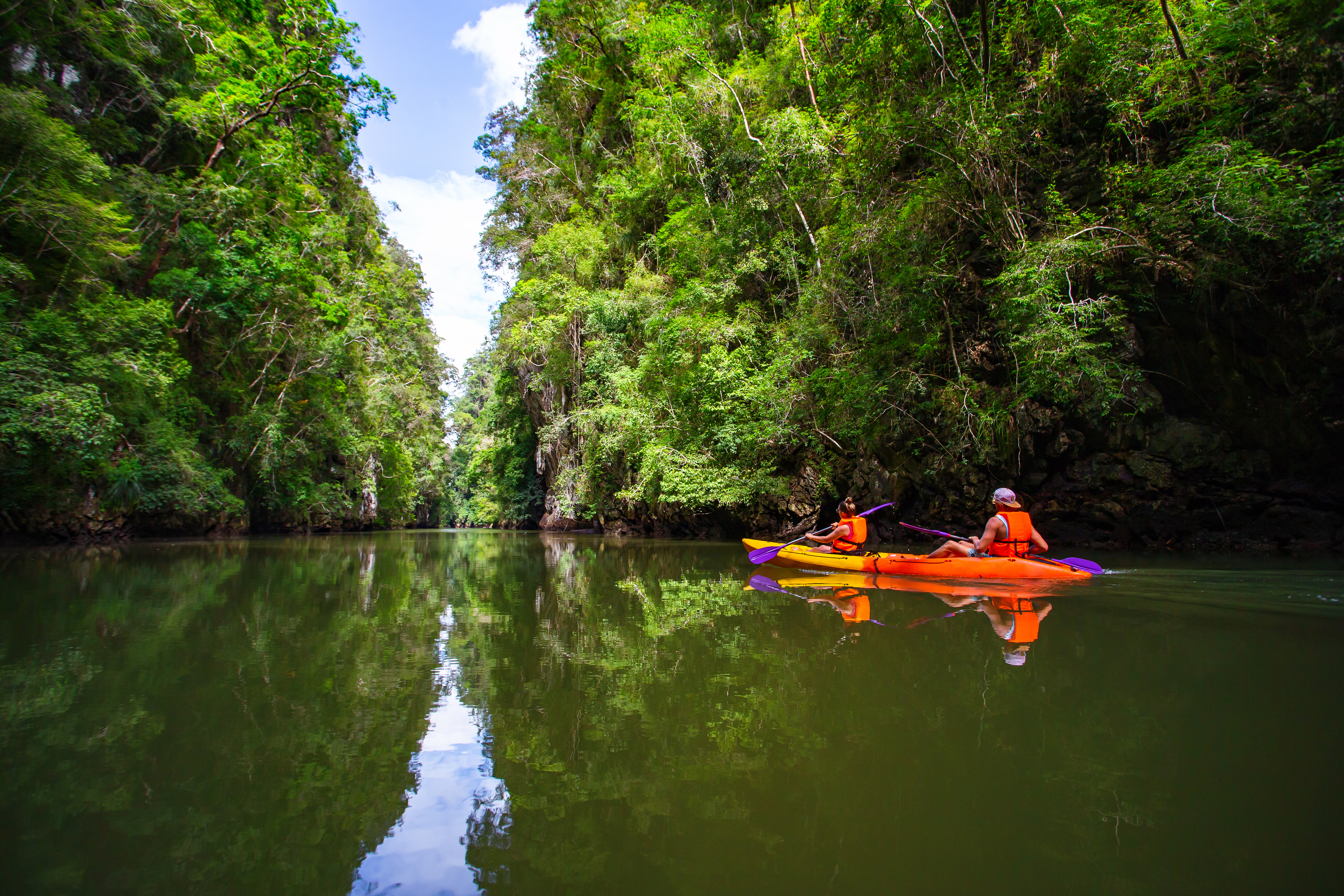 Kayak through the mangrove forests of Phuket