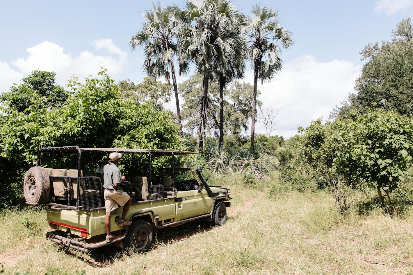 Design your Gonarezhou safari online | Timbuktu Travel