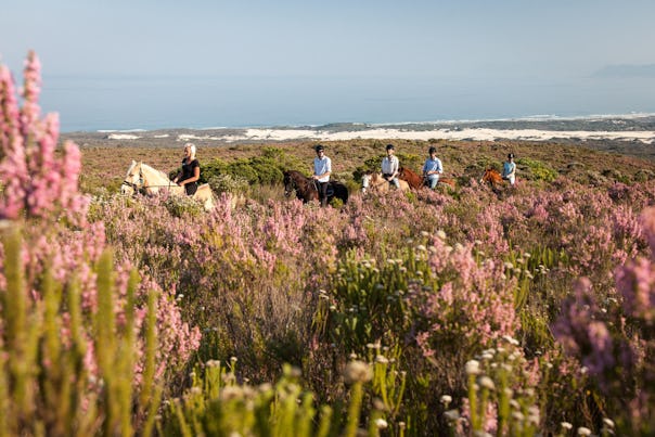 web grootbos experience horse riding reserve 04