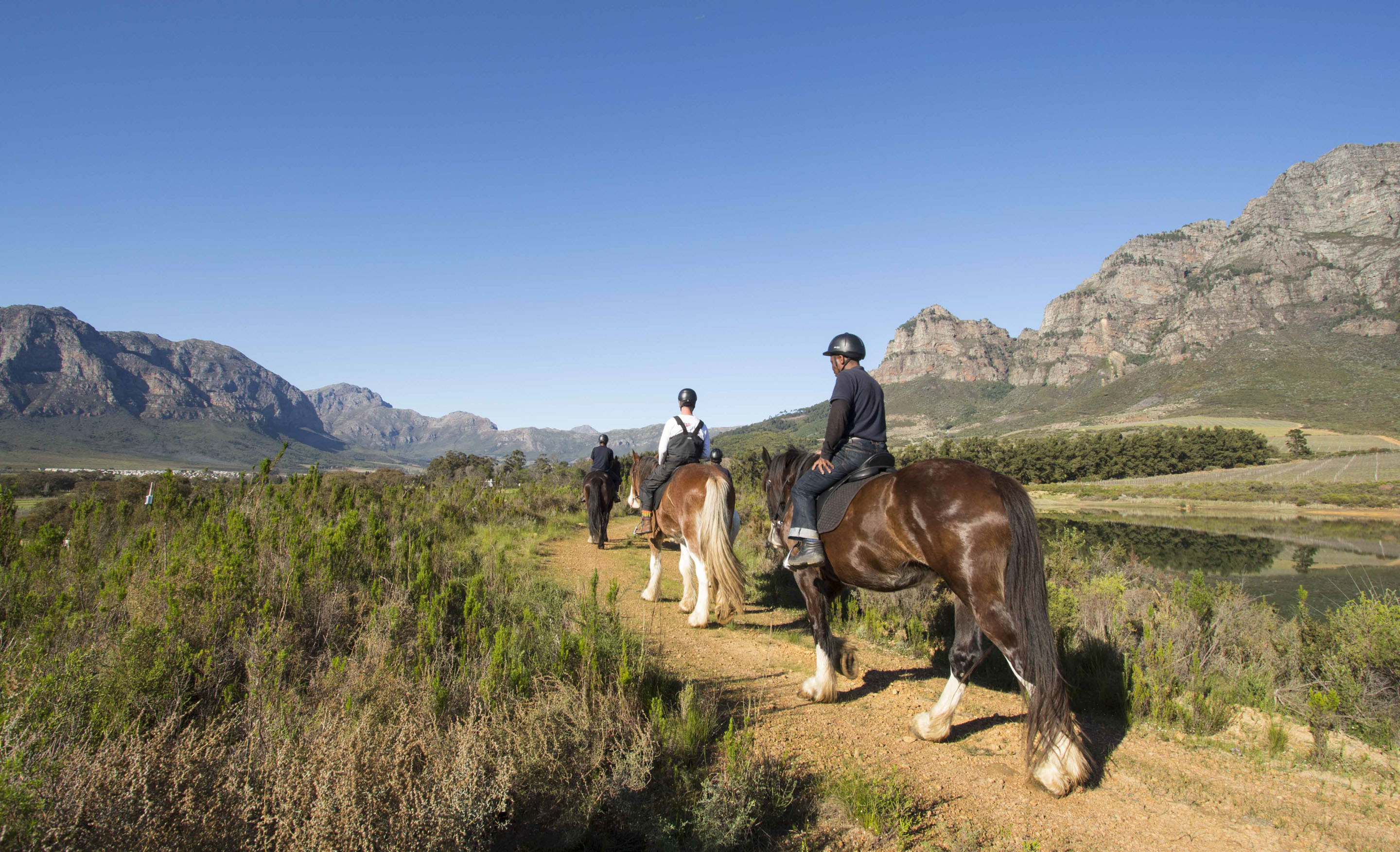 Explore the Franschhoek vineyards on horseback