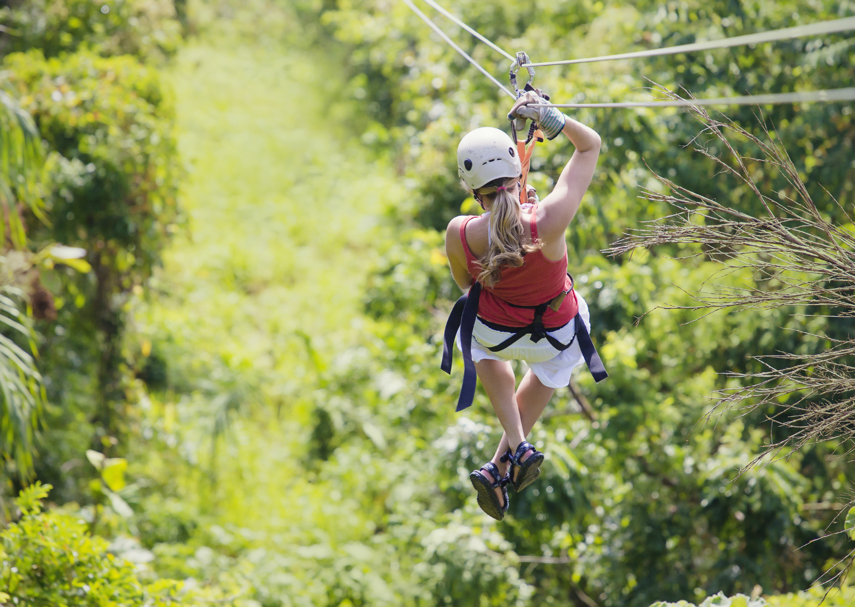 Zipline through the jungles of the Seychelles 