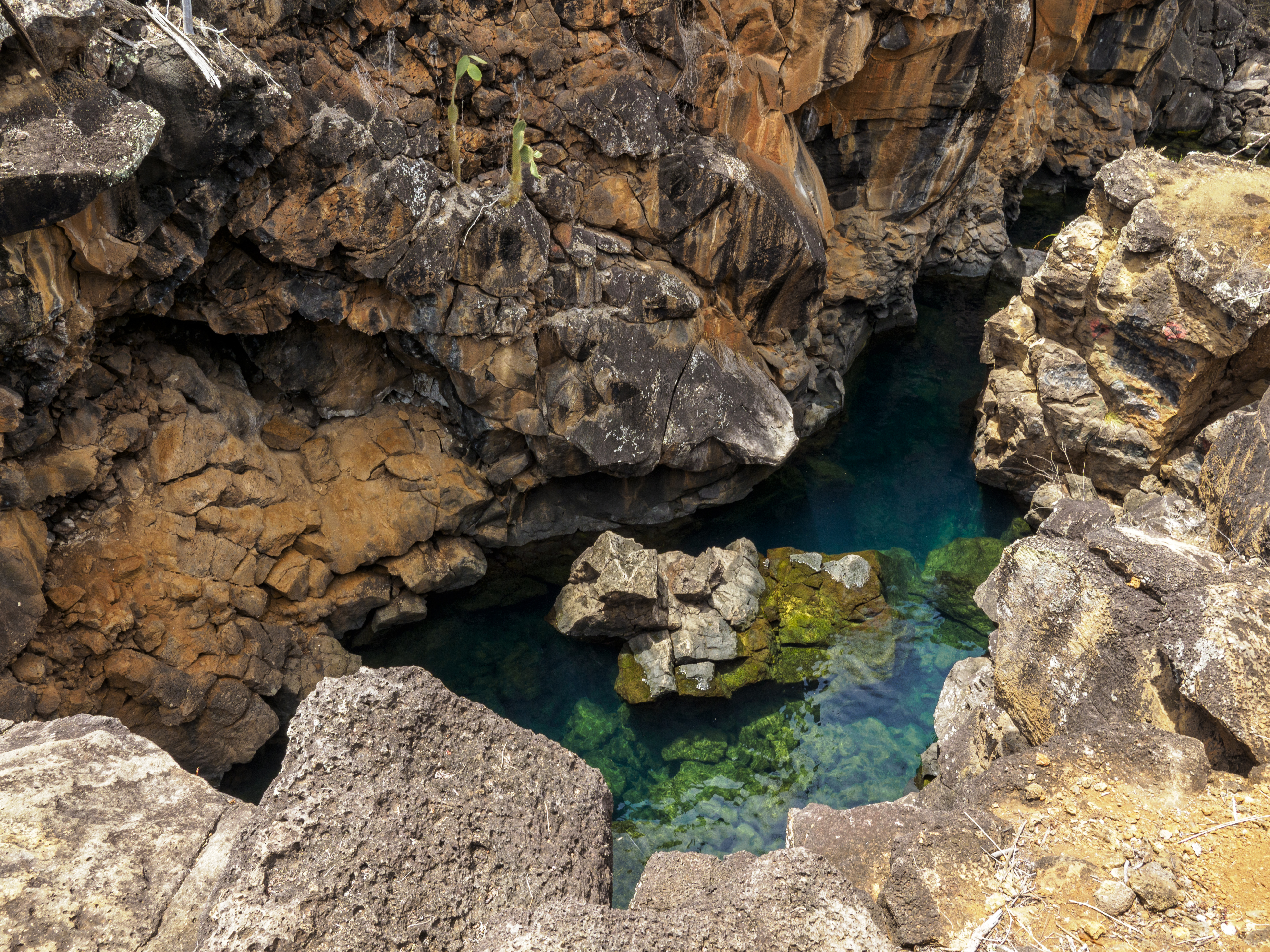 Swim between the rocks of Las Grietas, Santa Cruz