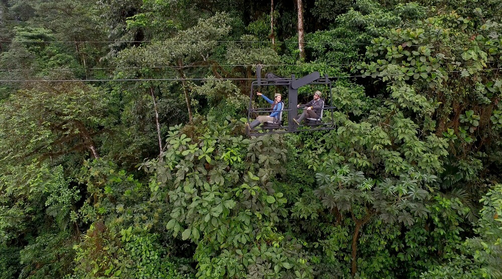 Experience Cloud Forest from above on a sky bike 
