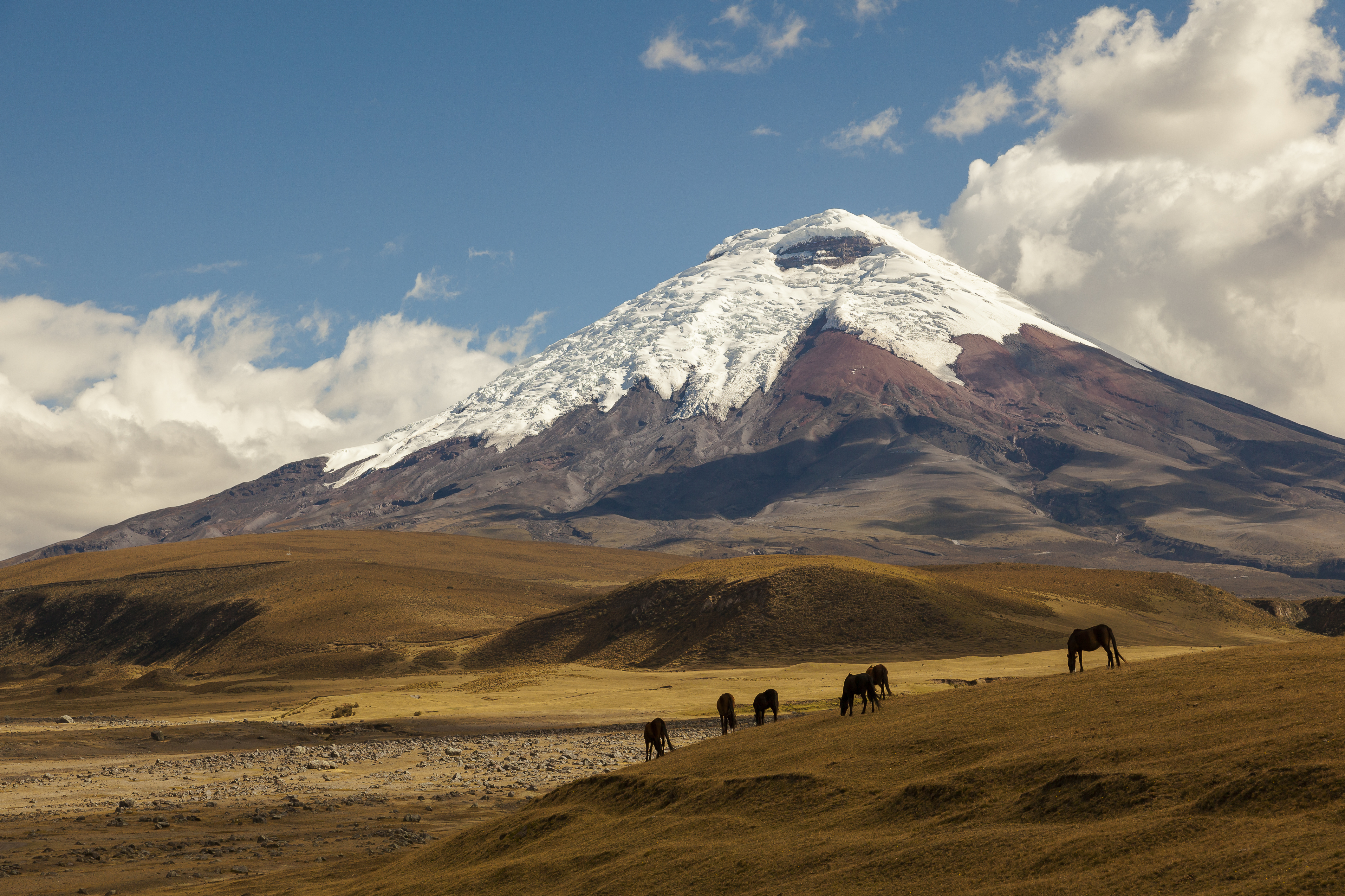 Hike on an active volcano with glacial views
